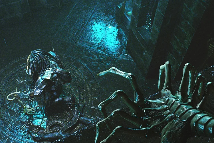 avp.jpg