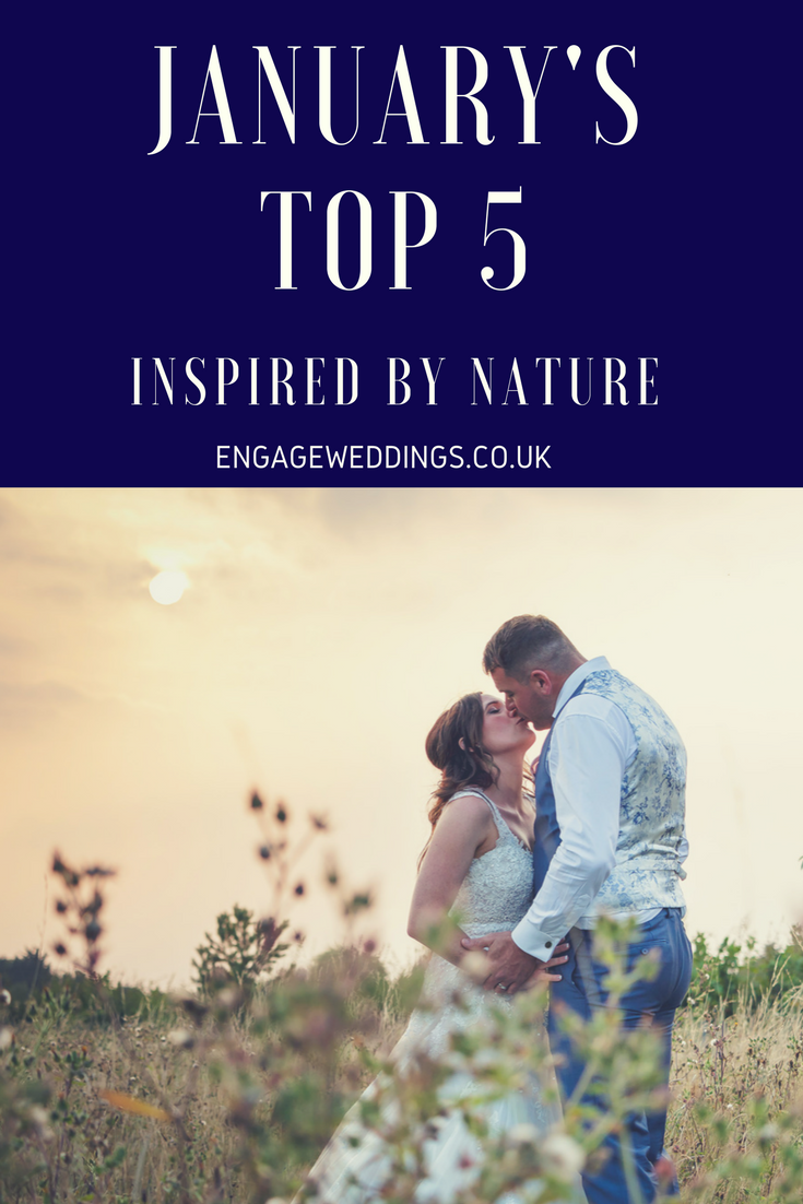 January wedding ideas