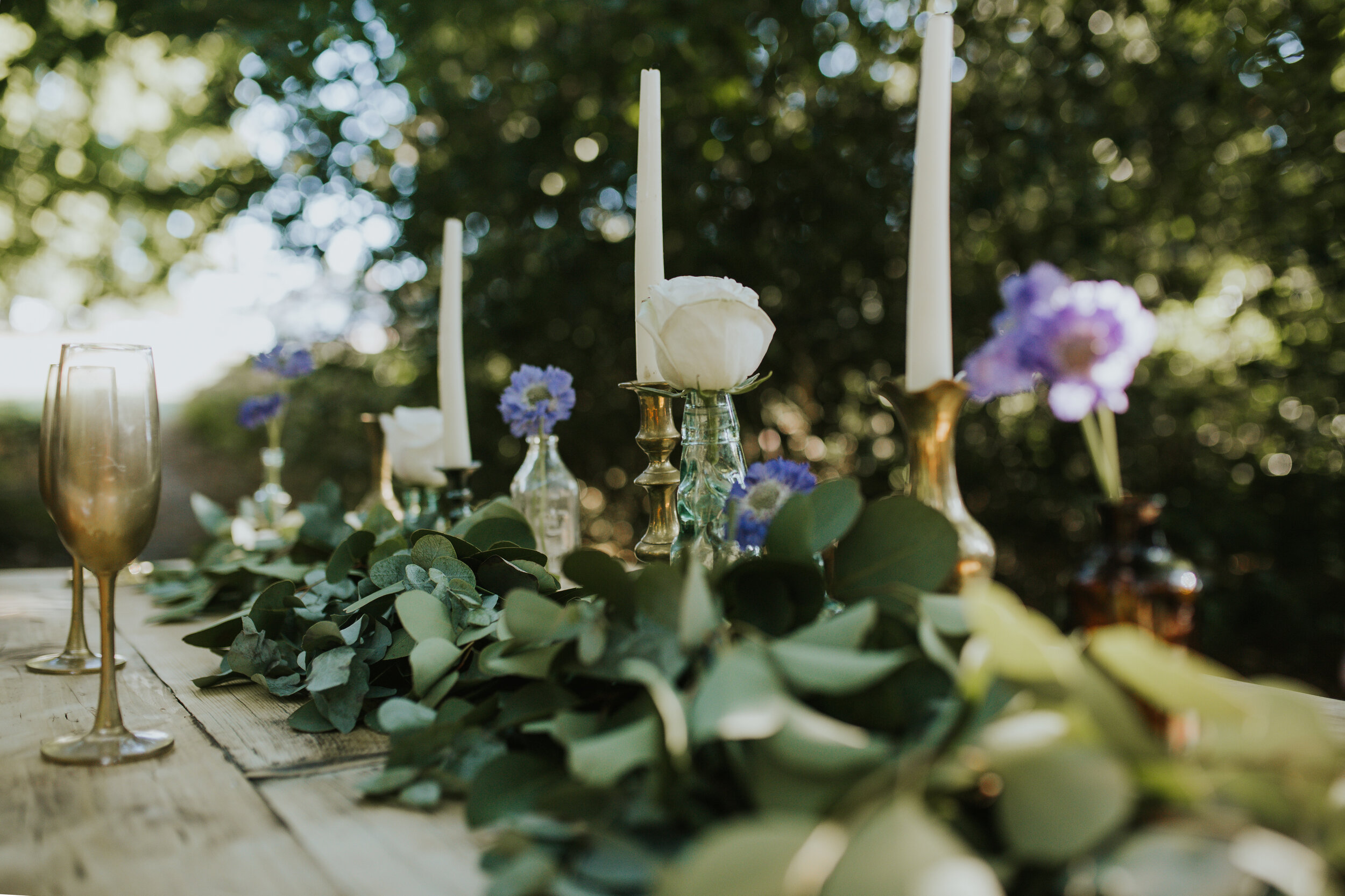 Woodland Elopement_Rustic Table Styling_Lily Lane Photography