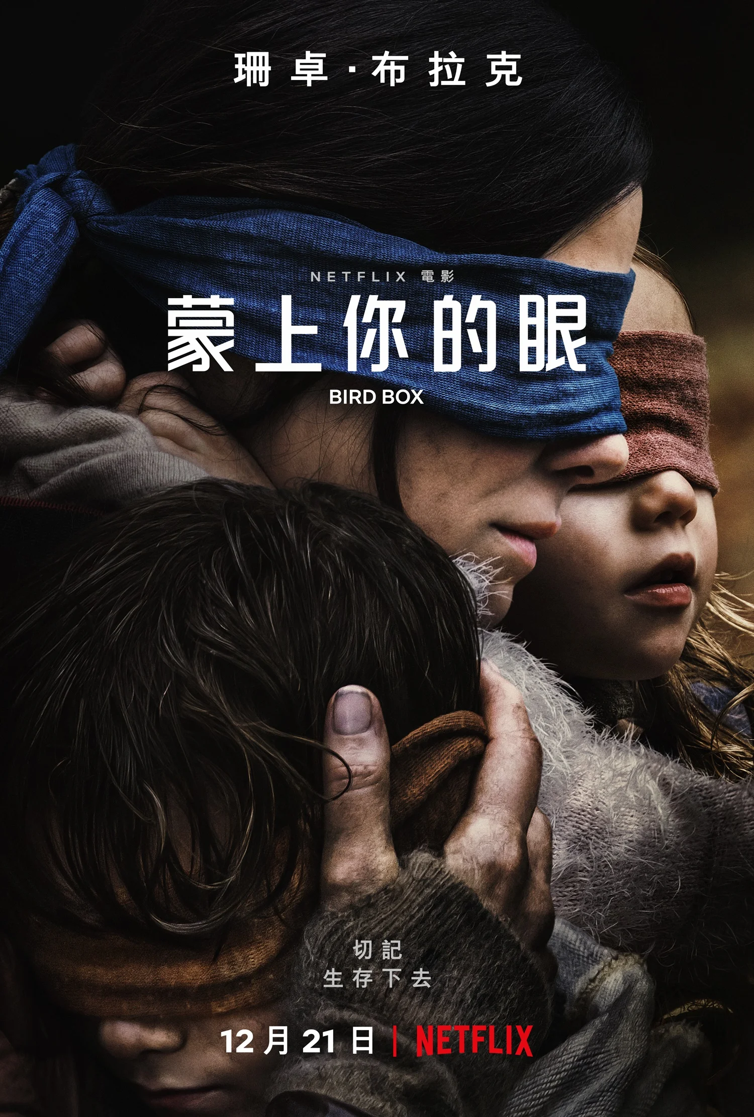 20181025_BirdBox_Poster.jpg