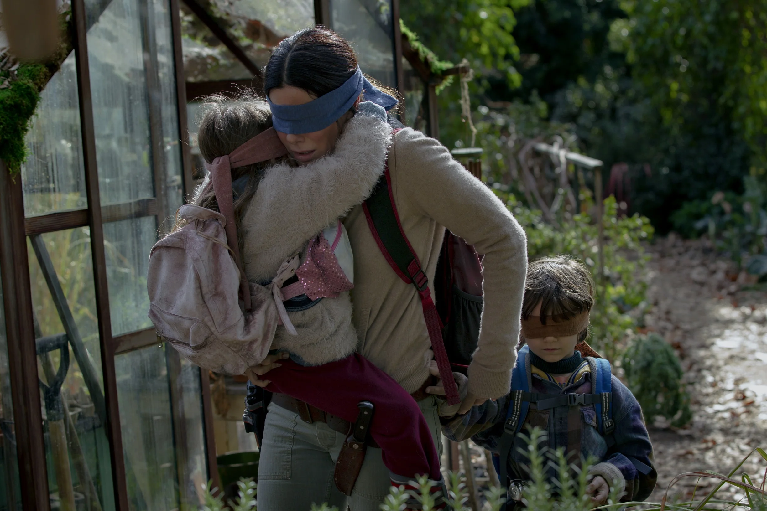 20181025_BirdBox.jpg