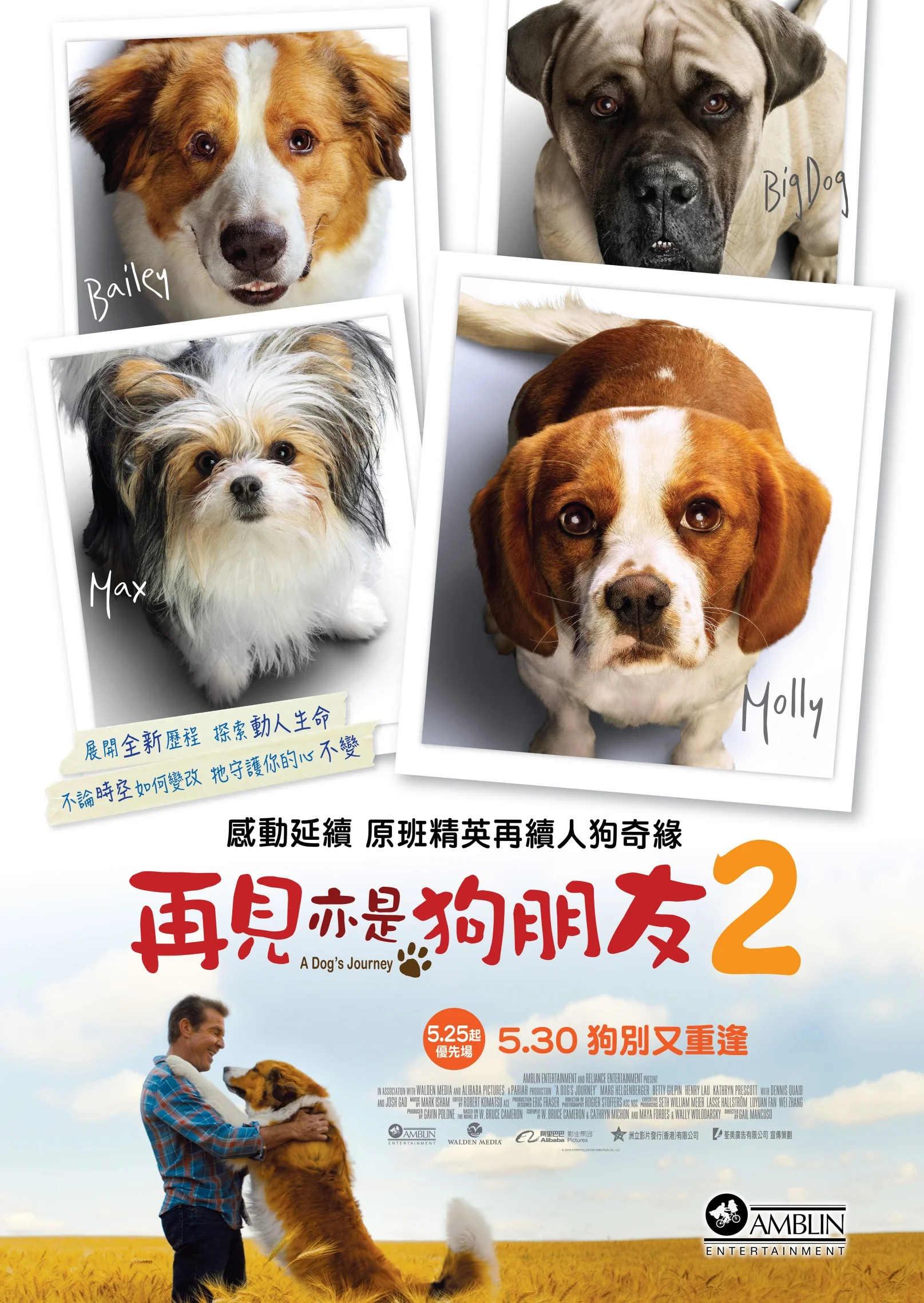 20190507_ADogsJourney_Poster.jpg