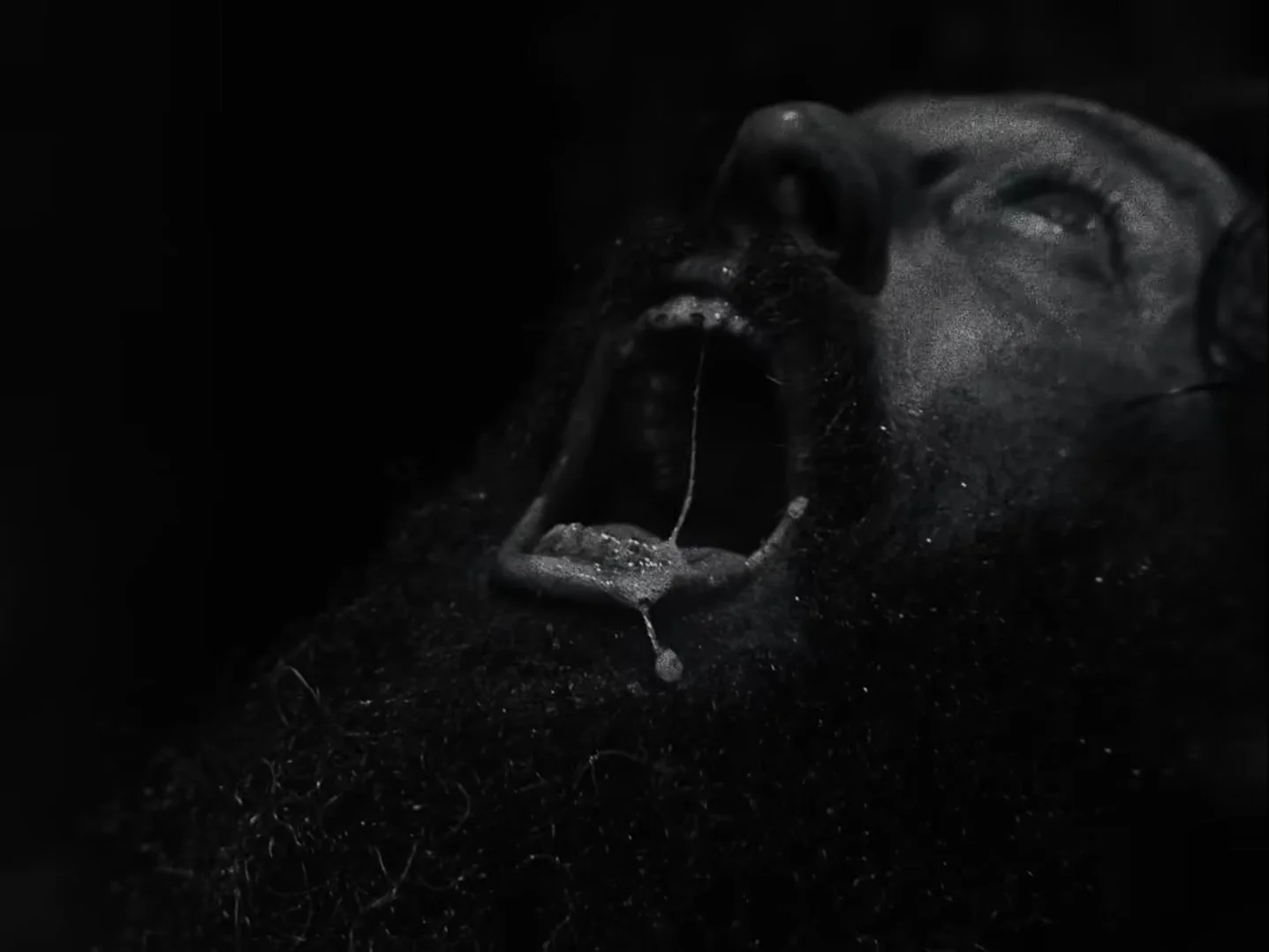 A 13th-Century Nightmare: Watch the Haunting First Trailer for Robert Eggers’ Werwulf