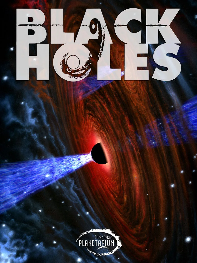 Black Holes