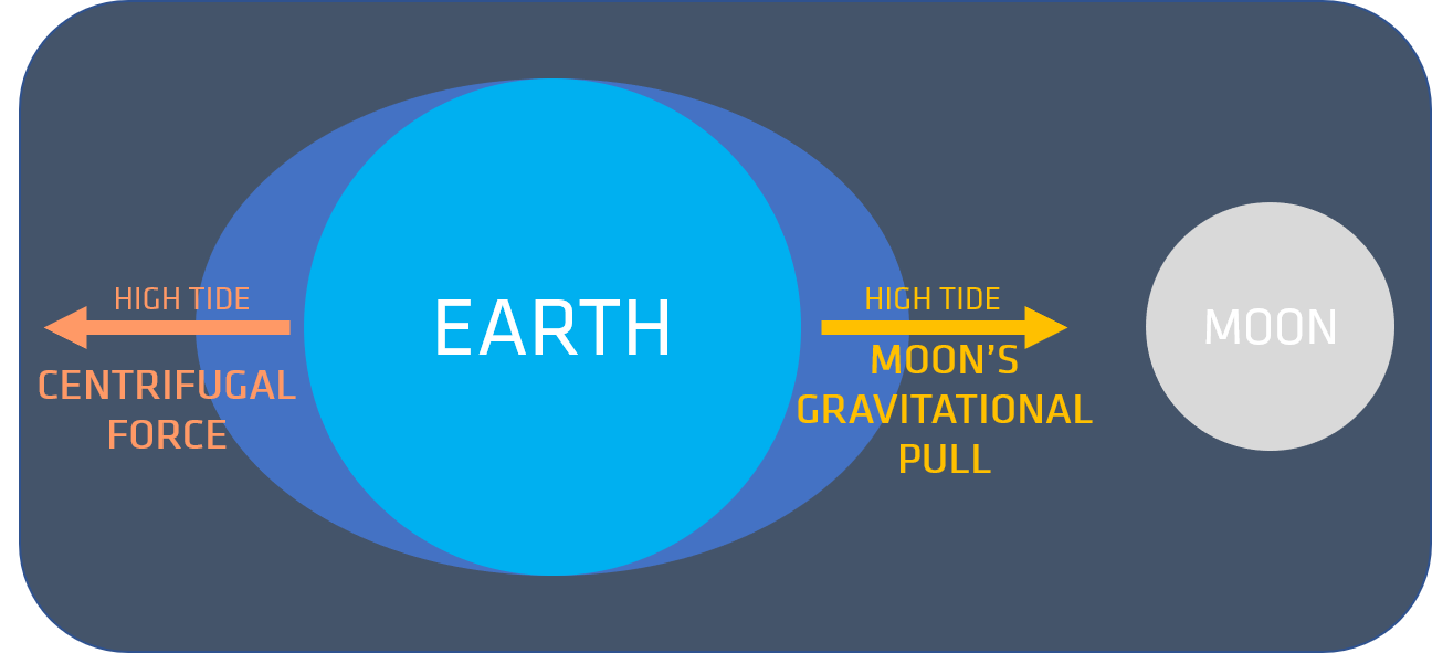 At Home Stem Activities Tides And Moon Phases Mcauliffe Shepard Discovery Center