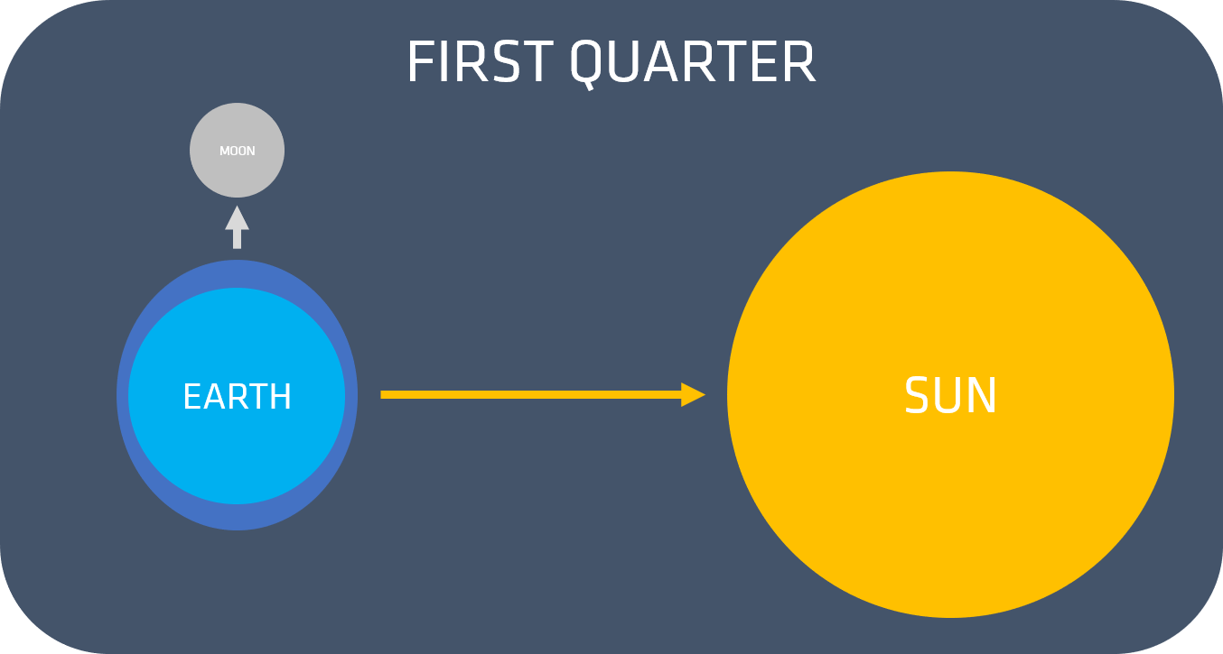 First Quarter Moon Model With Sun And Earth Bmp news