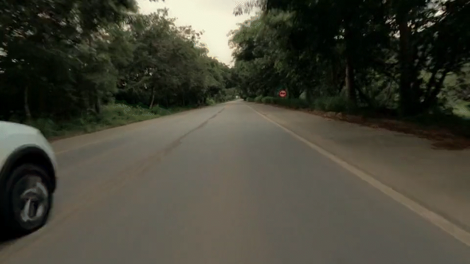 Sandero - Road_1.gif