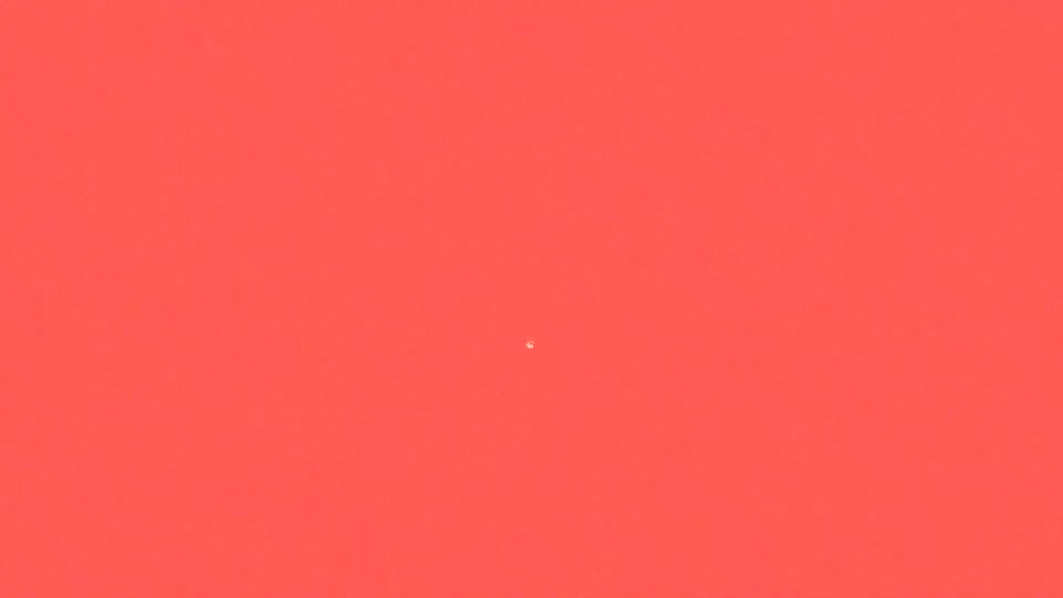 WWF - Keep Living Coral.gif