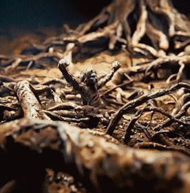 8.gif