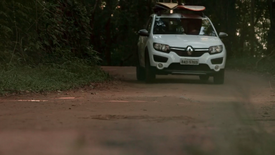 Sandero - Road_2.gif