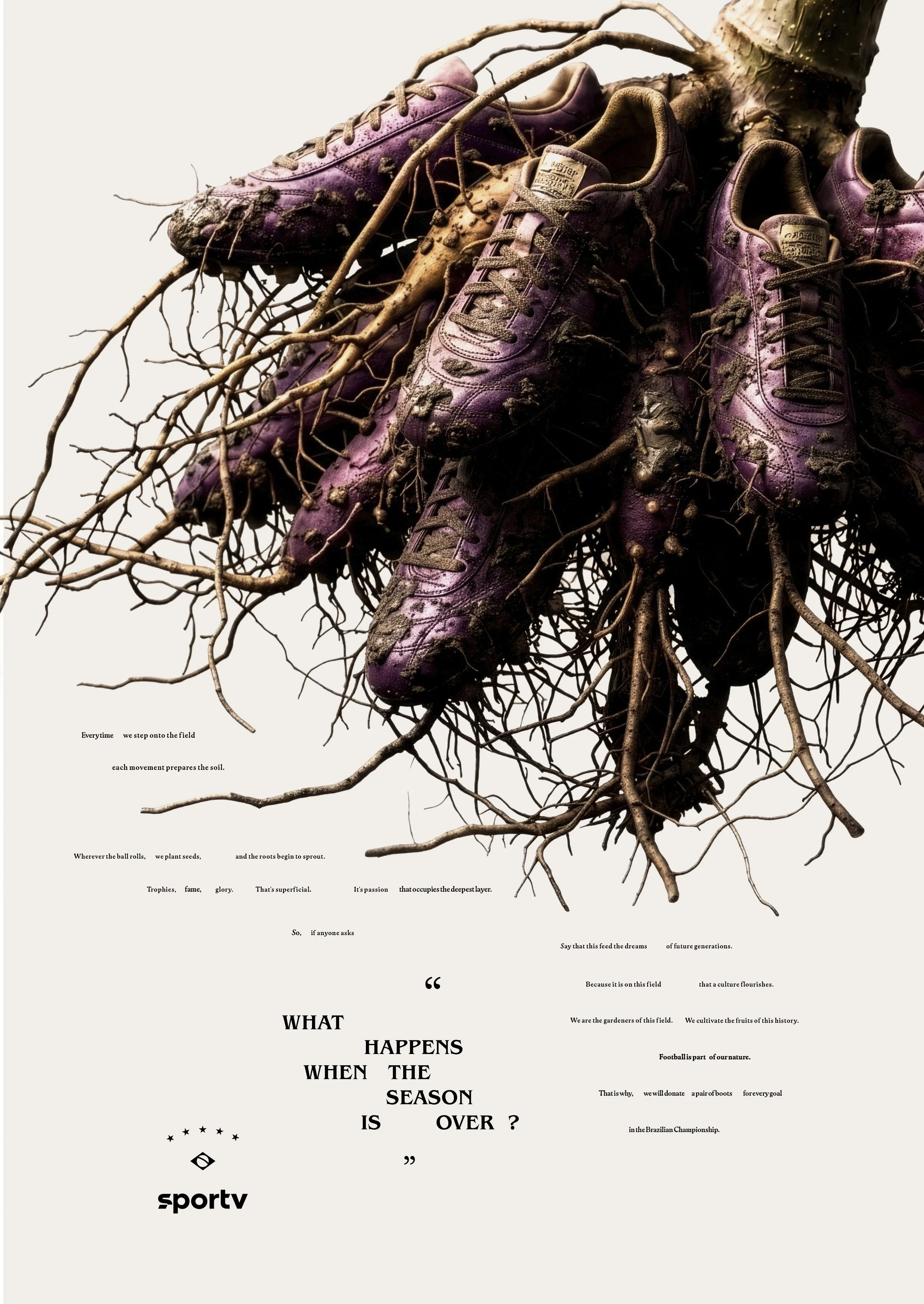 04 - batata doce.jpg