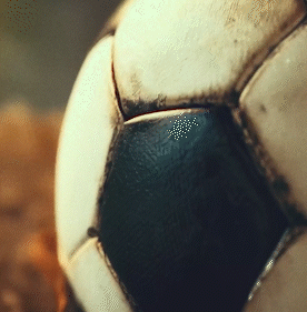 1.gif
