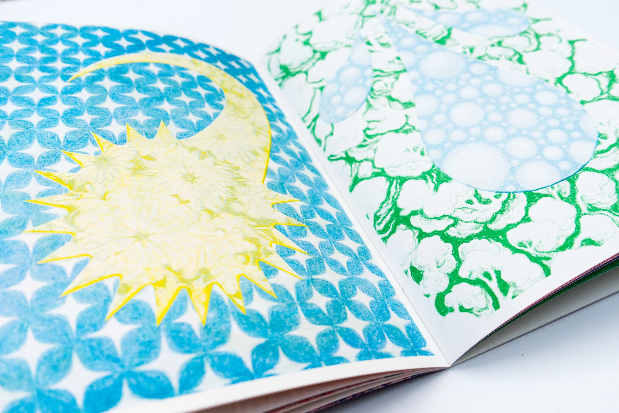 Wobby 20_dsc6842.JPG