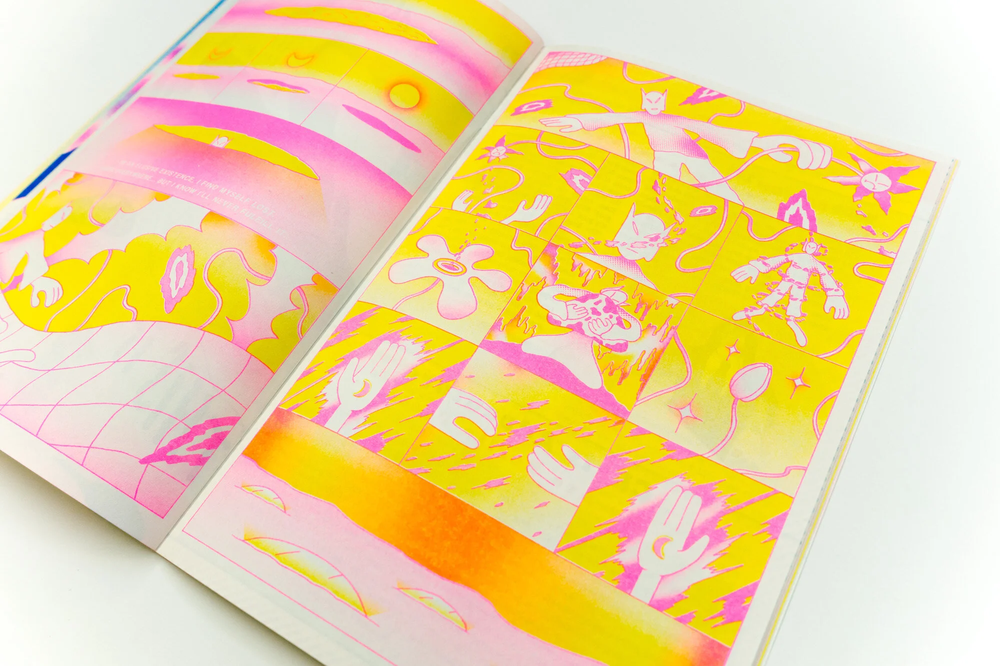 Wobby 21_dsc7054.JPG