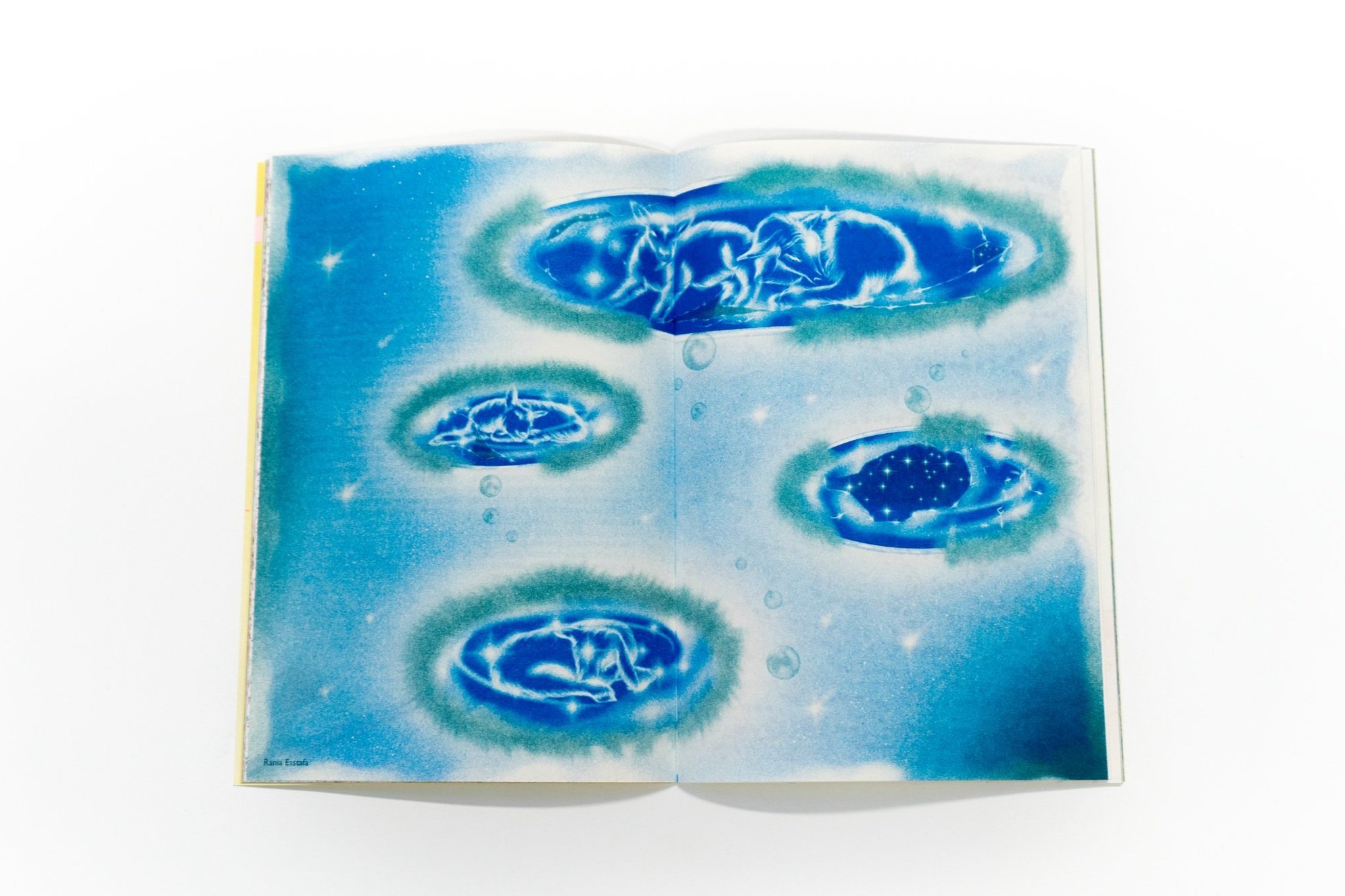 Wobby’s Graduates: Arthur Devisscher and Rania Esstafa