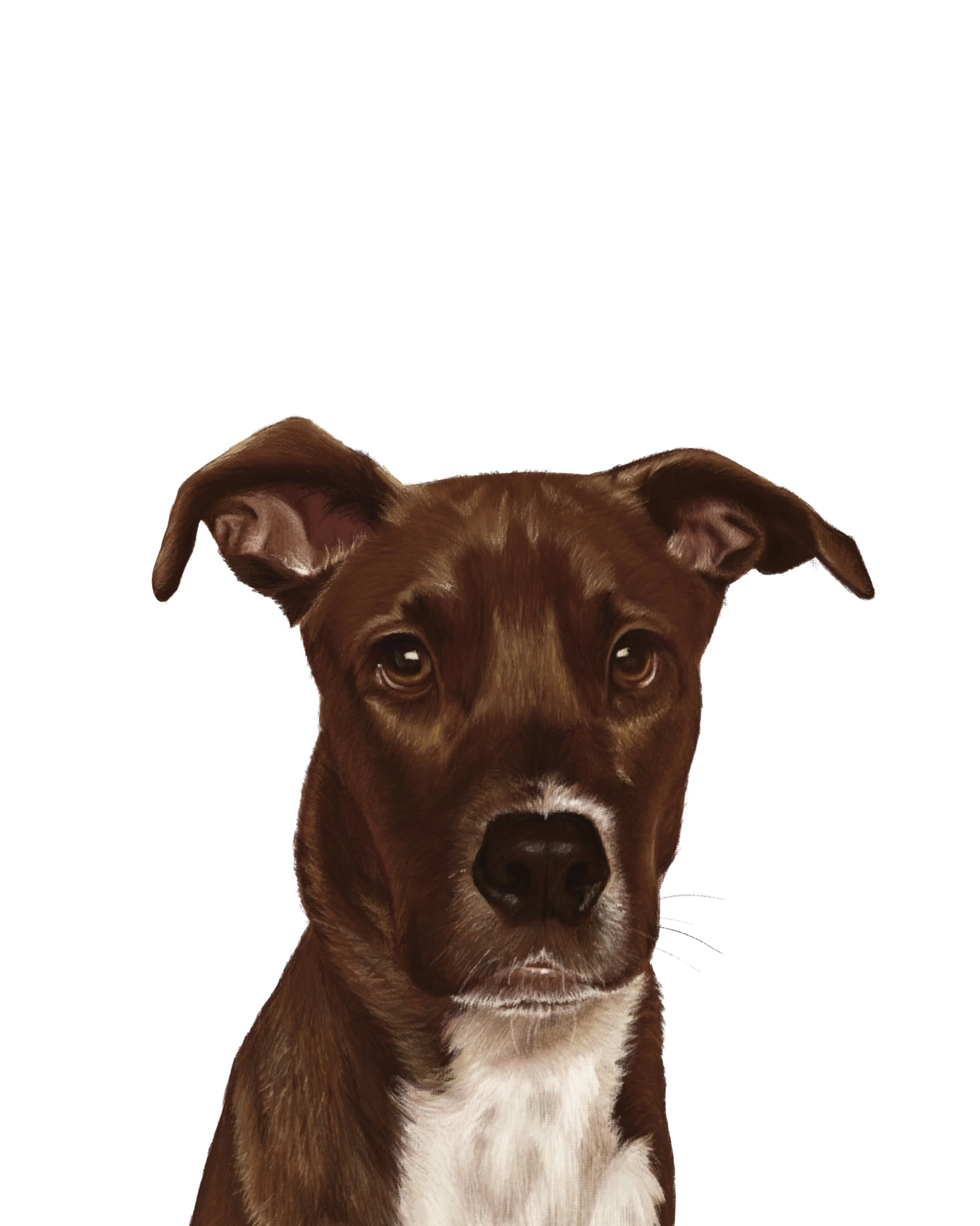 Beau.jpg
