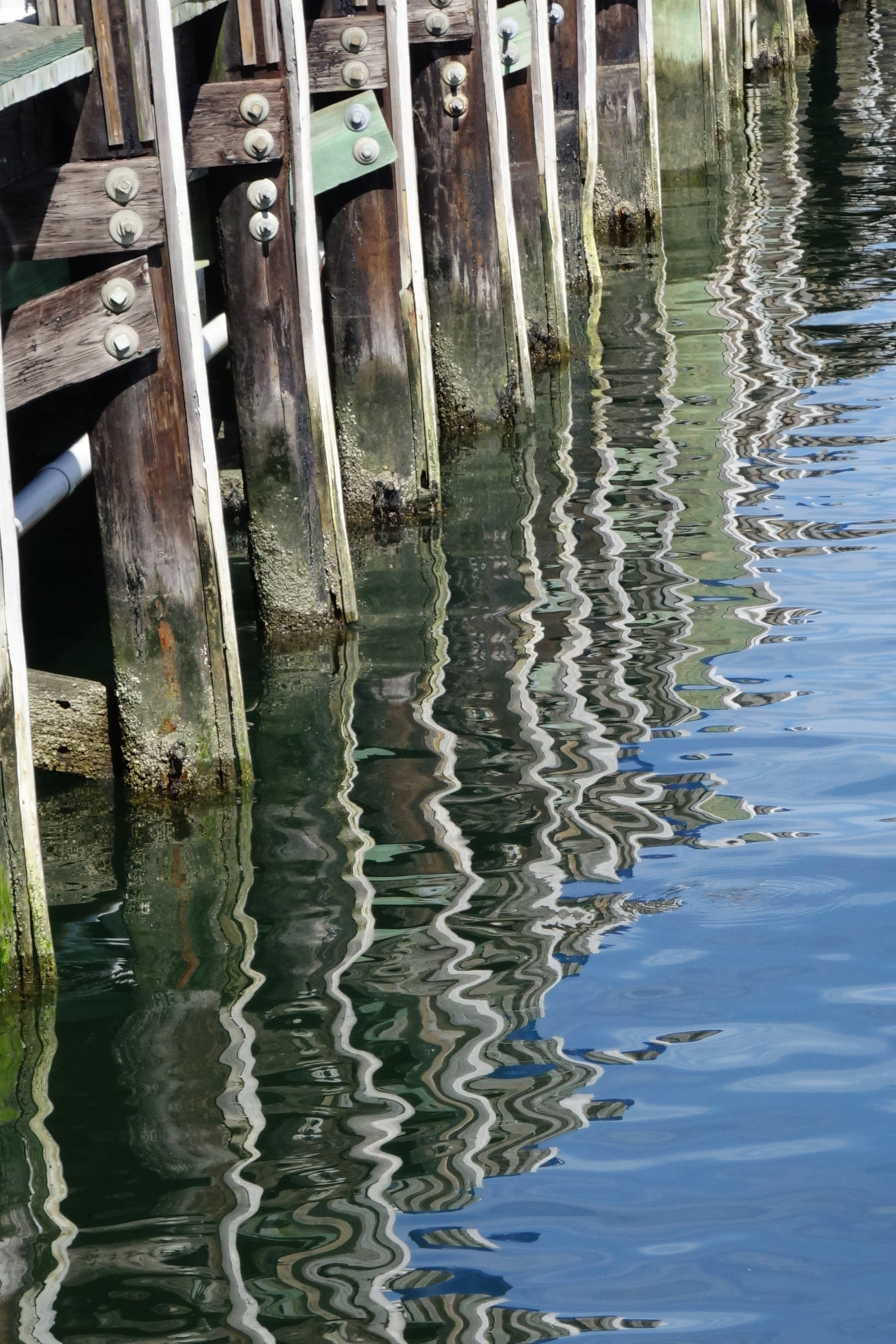 Dock Reflection