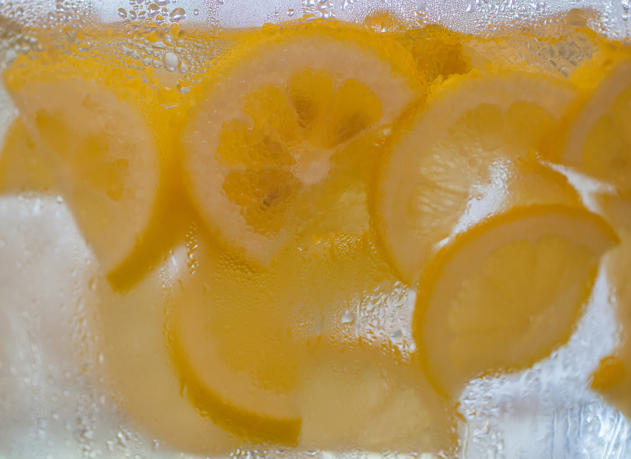 Lemons-0054.jpg