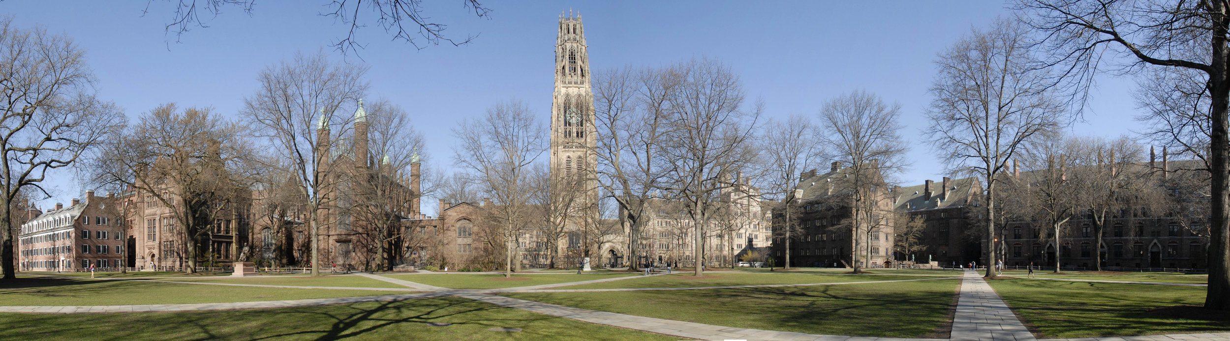 Yale.jpg