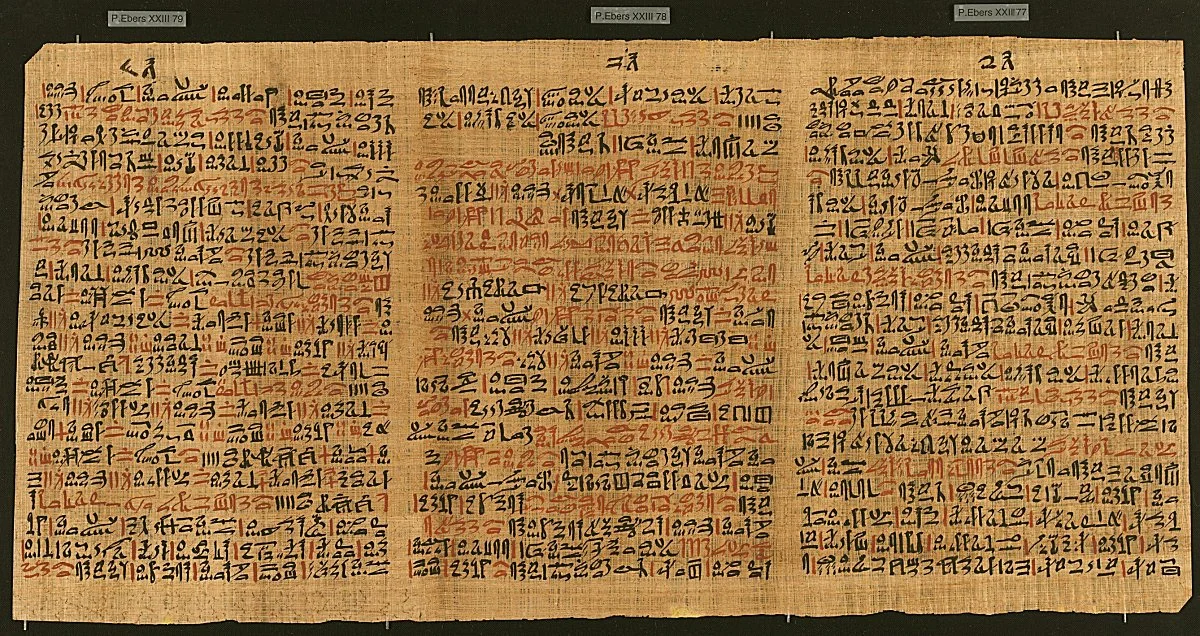 Ebers Papyrus. Photo Credit: Hanf Museum Berlin