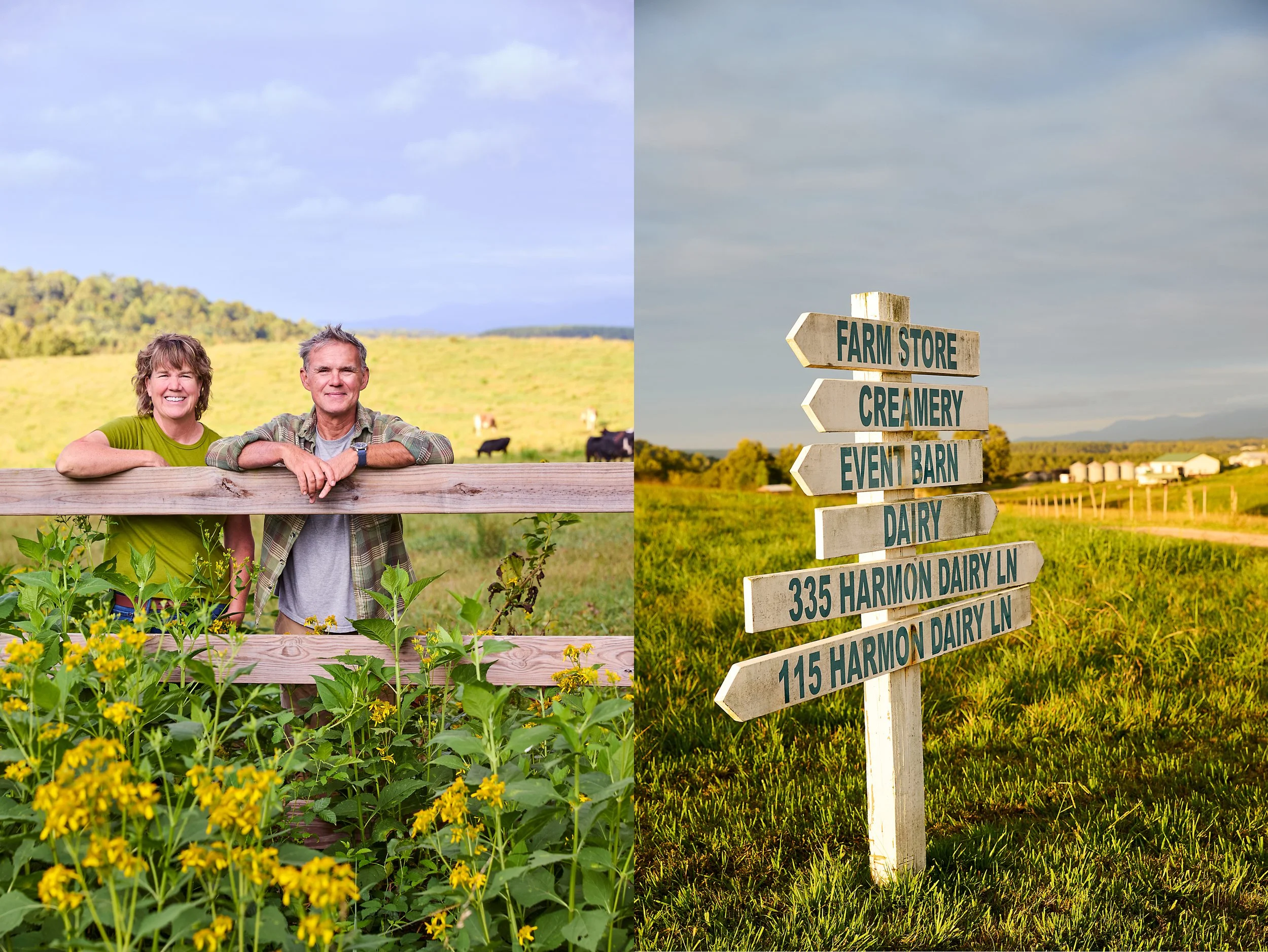 Diptych : On the left, the owners and cheesemakers of Looking Glass Creamery leaning on a fence in a field. Right: A sign that points directions to all the places on the farm (farm store, creamery, event barn, dairy). Photos by Stacey Van Berkel.