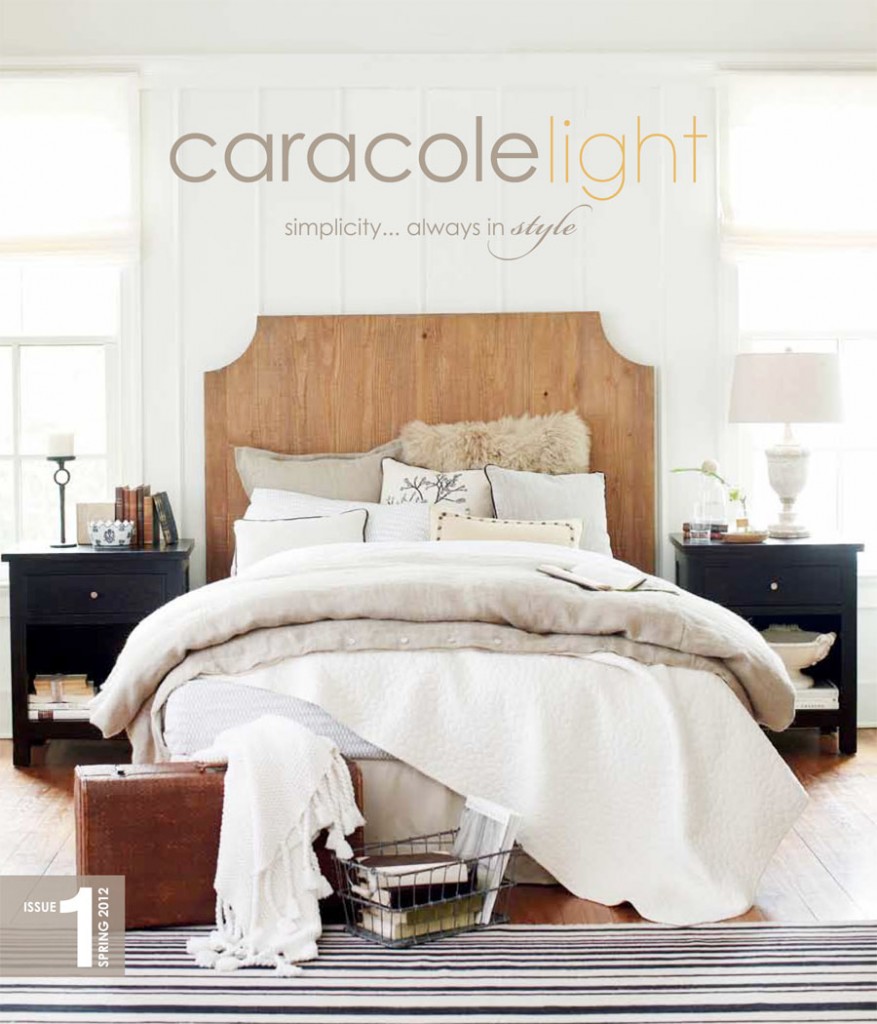 Caracole-Light-magazine_final_LR-1-877x1024.jpg