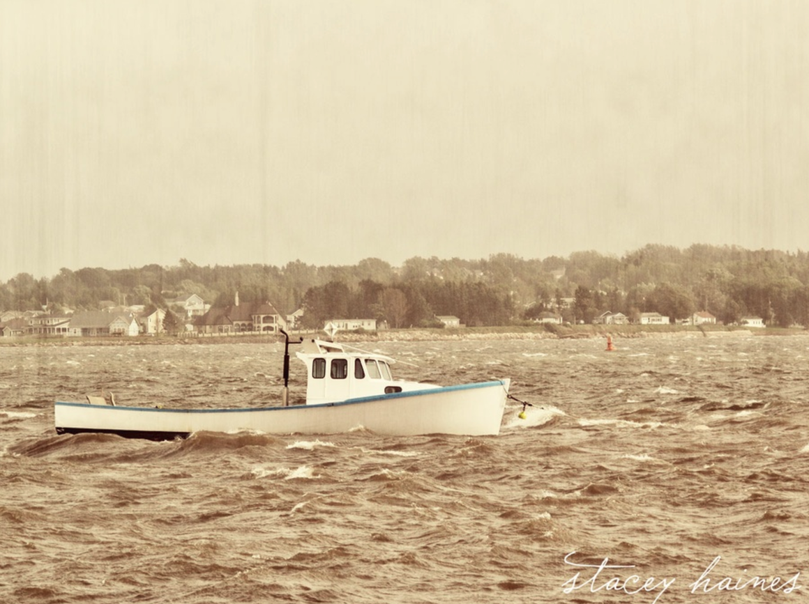 windy walk in charlottetown