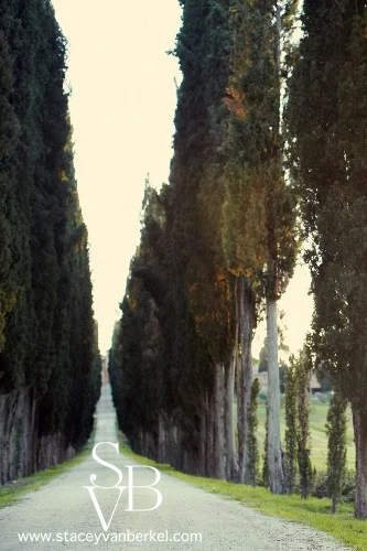 for the love of... italia
