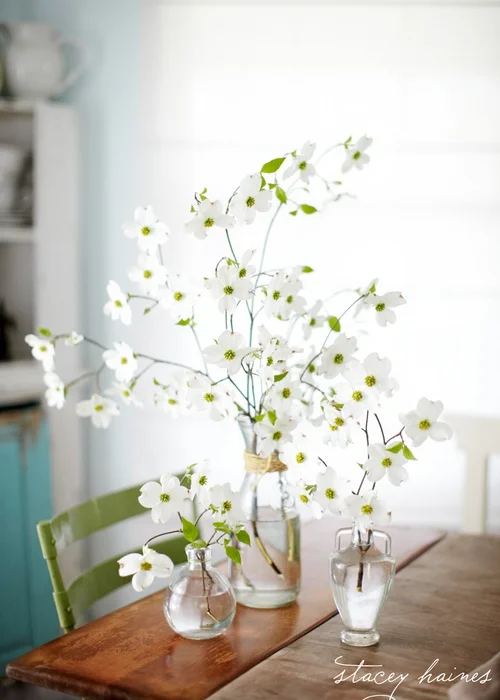 tea & dogwood blossoms
