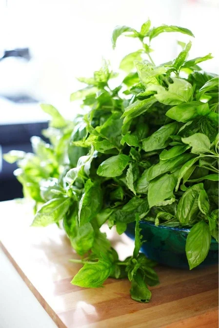 yummy organic pesto