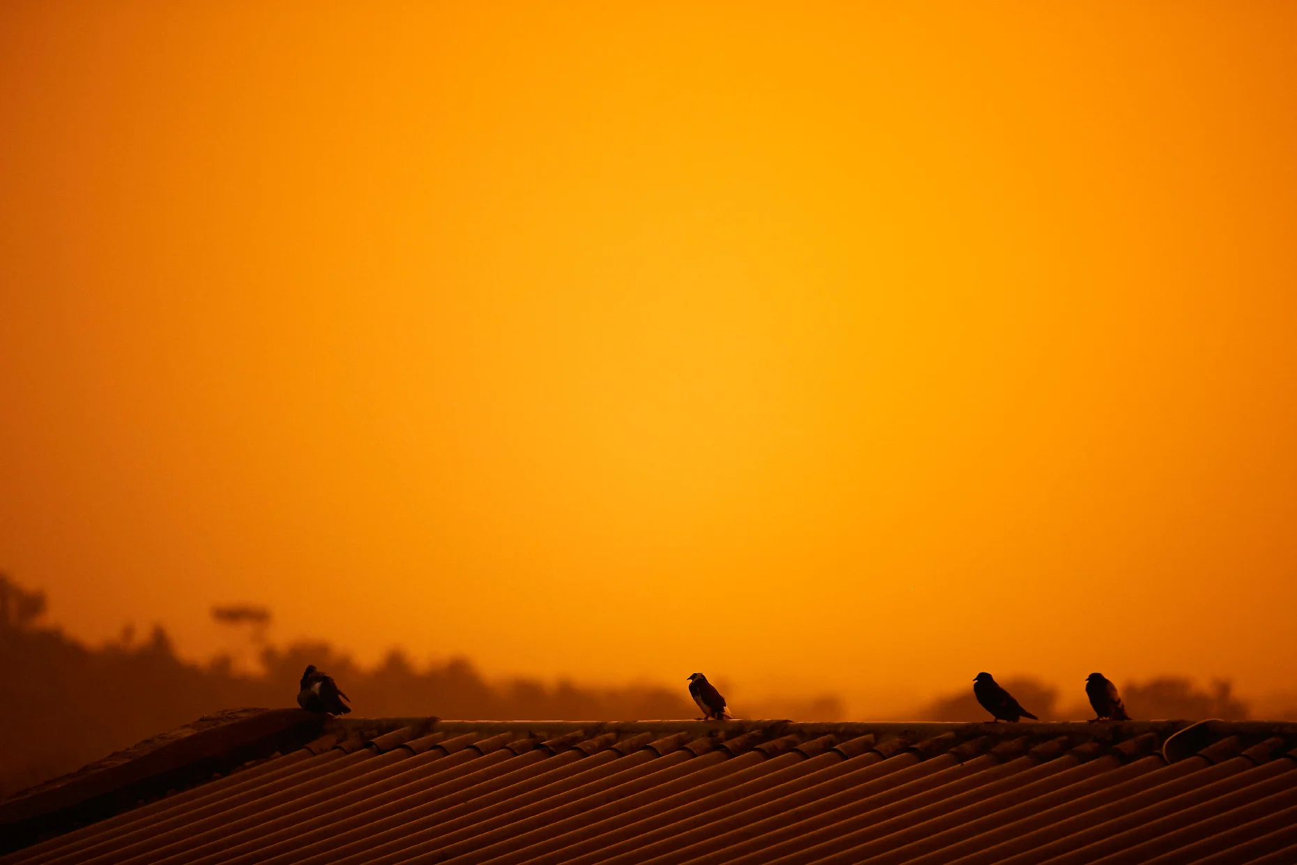 TUCHÍN SUNSET