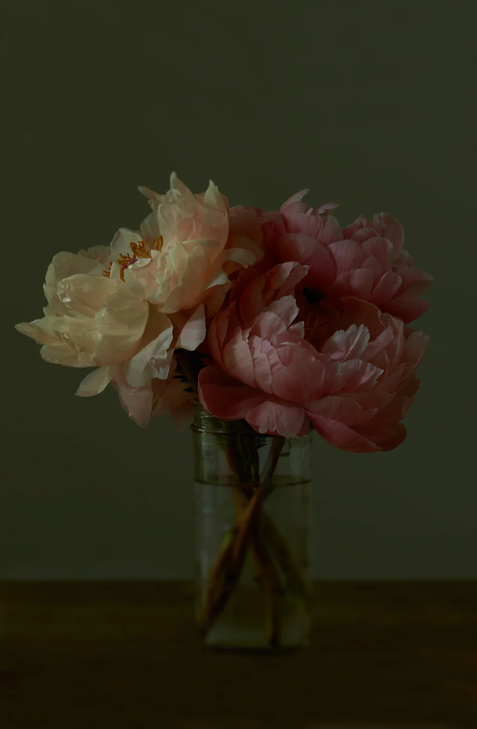 PEONIES I