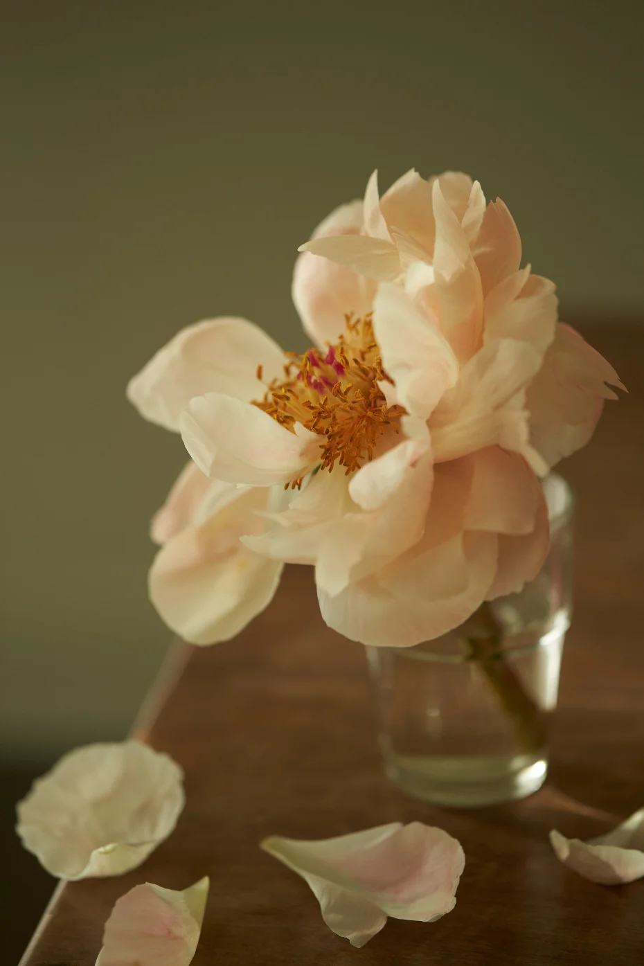 PEONIES II