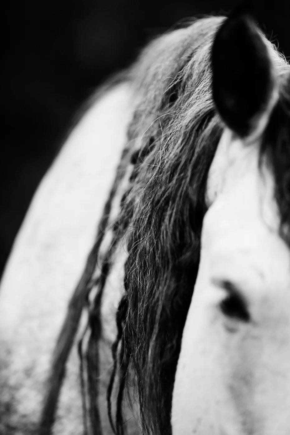 MON CHÉRI LIMITED EDITION