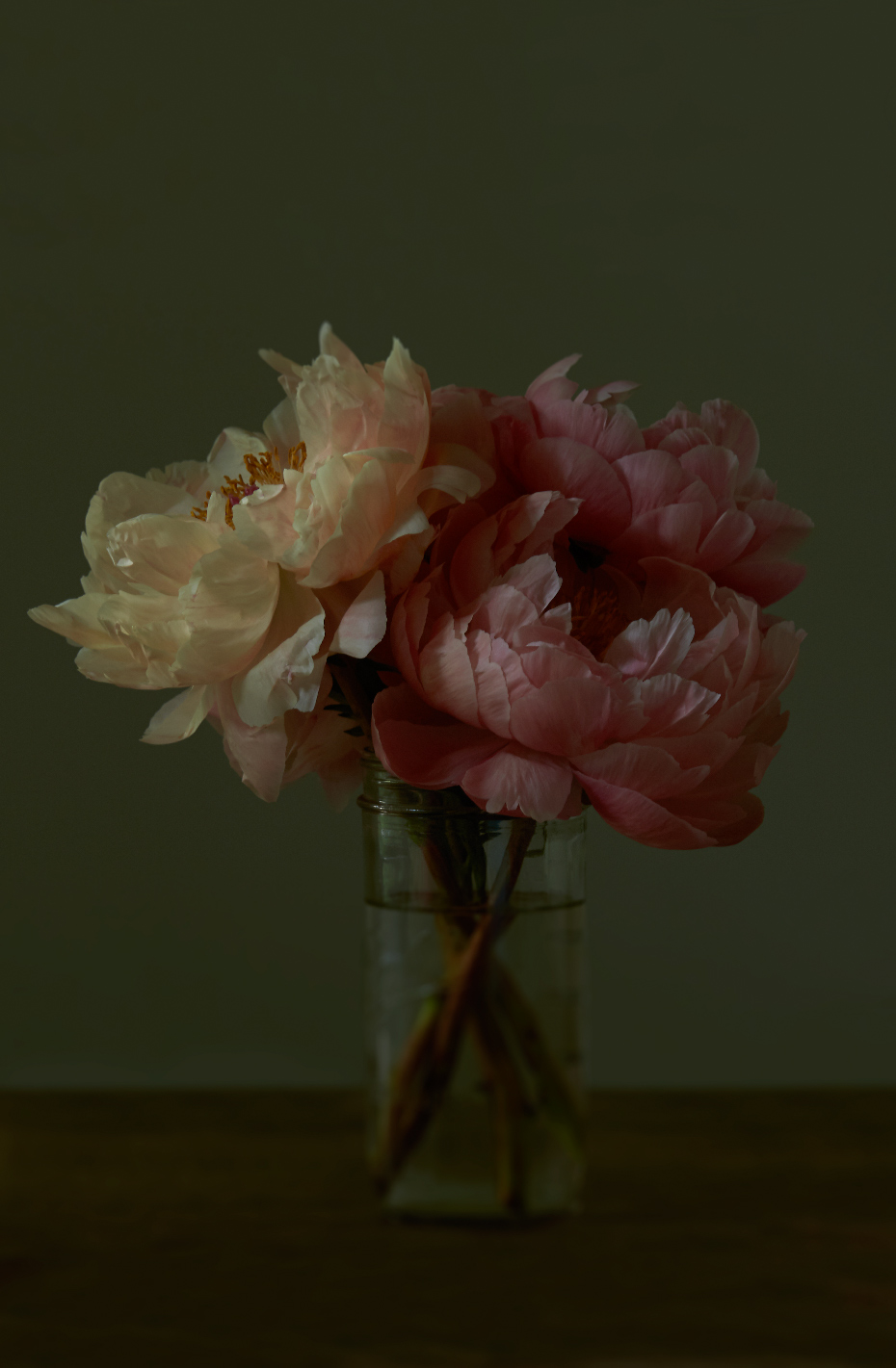 2015_0507_peonies_022f_WEB.jpg