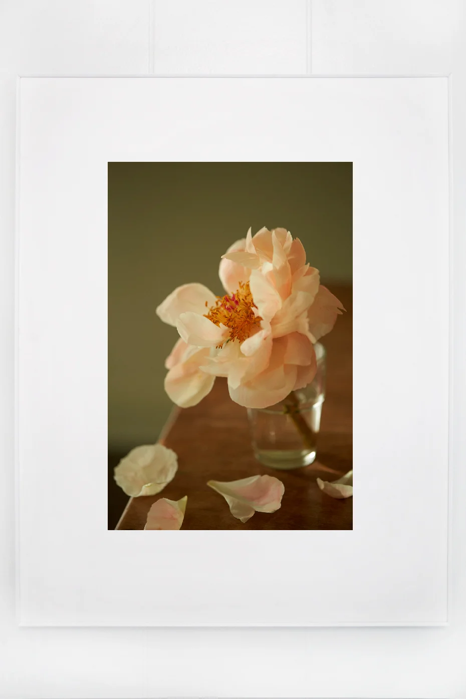 peonie_9.jpg