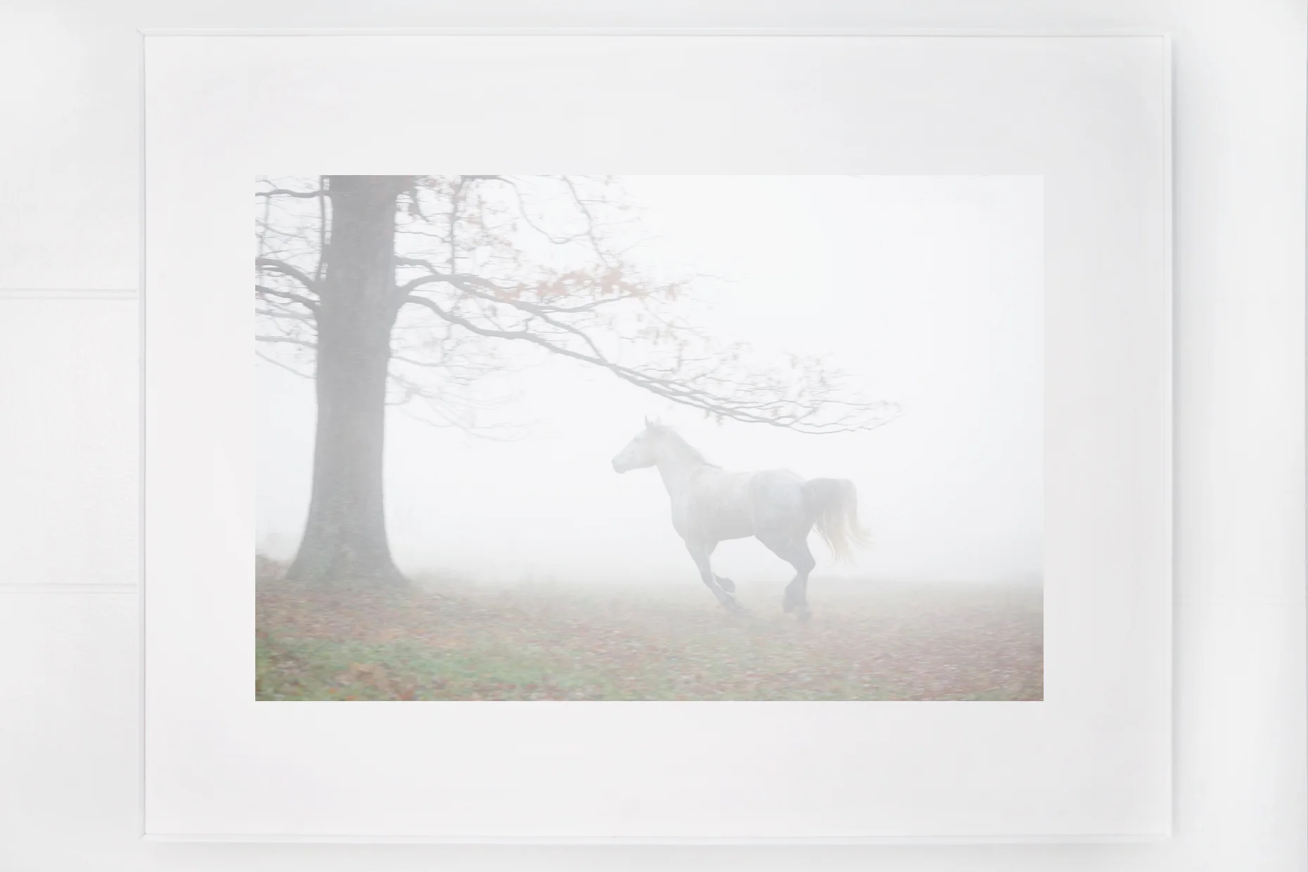 Bronte8_plaineframe.jpg