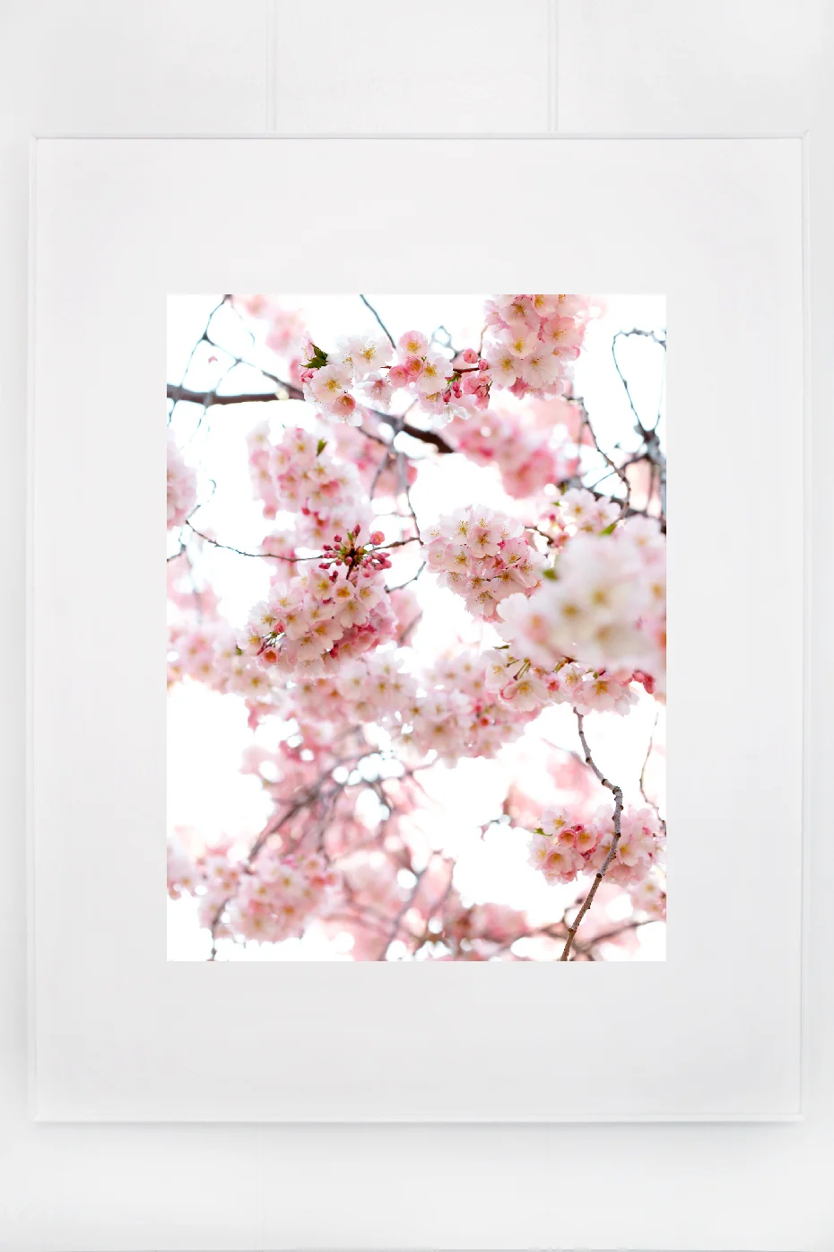 2_blossoms_I.jpg
