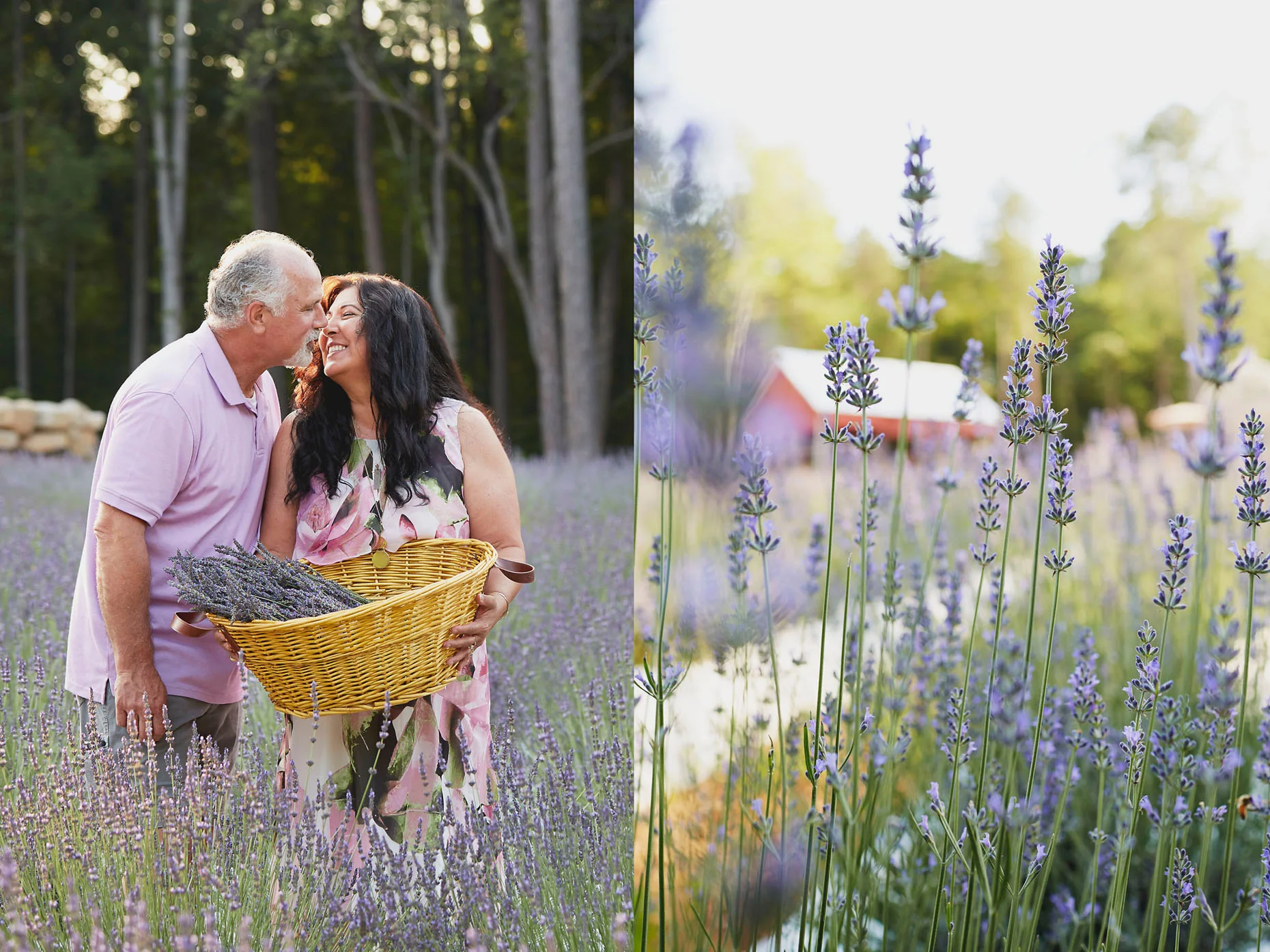 003_SVB_BLOG_LAVENDER_014.jpg