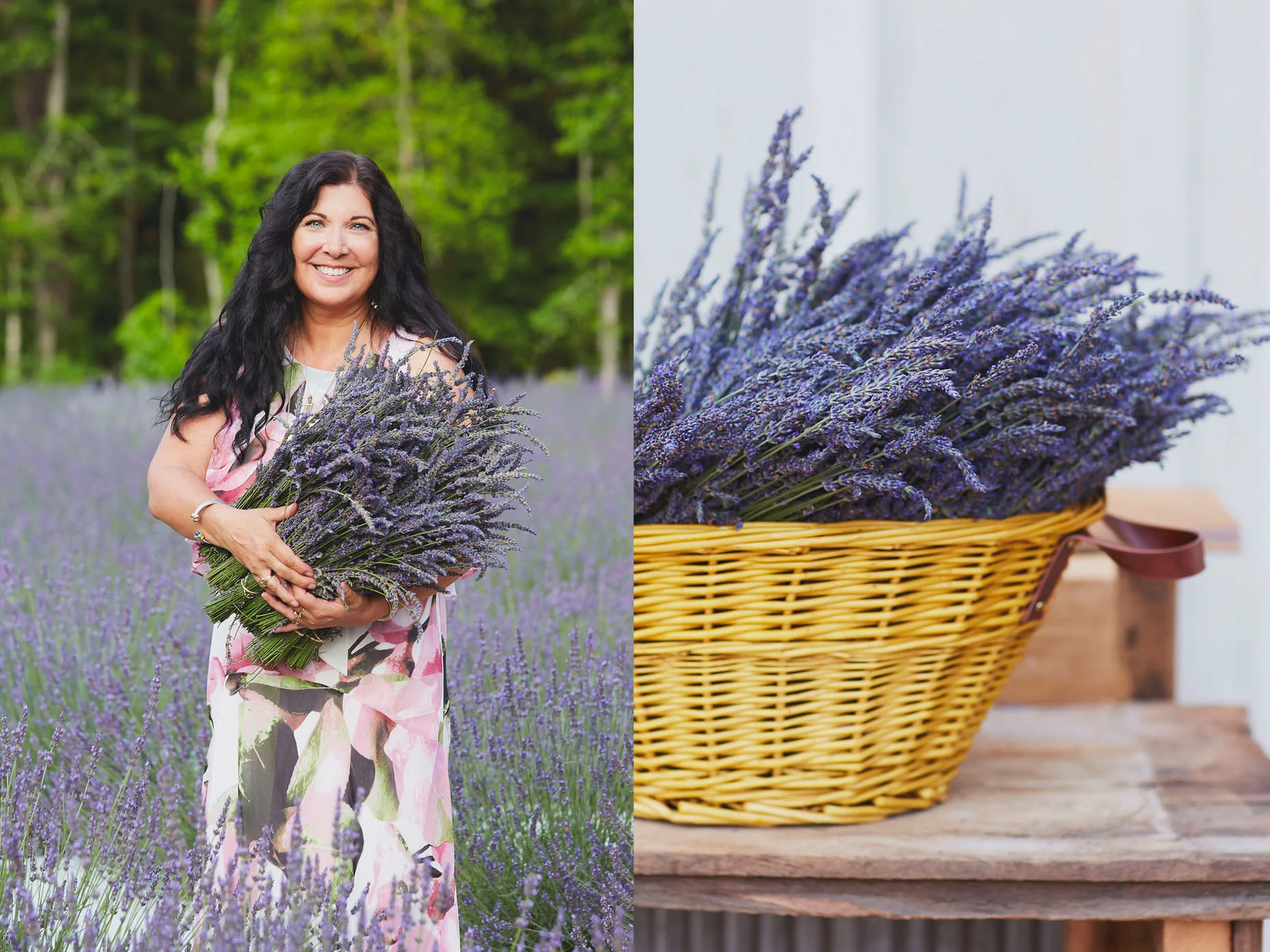 006_SVB_BLOG_LAVENDER_009.jpg