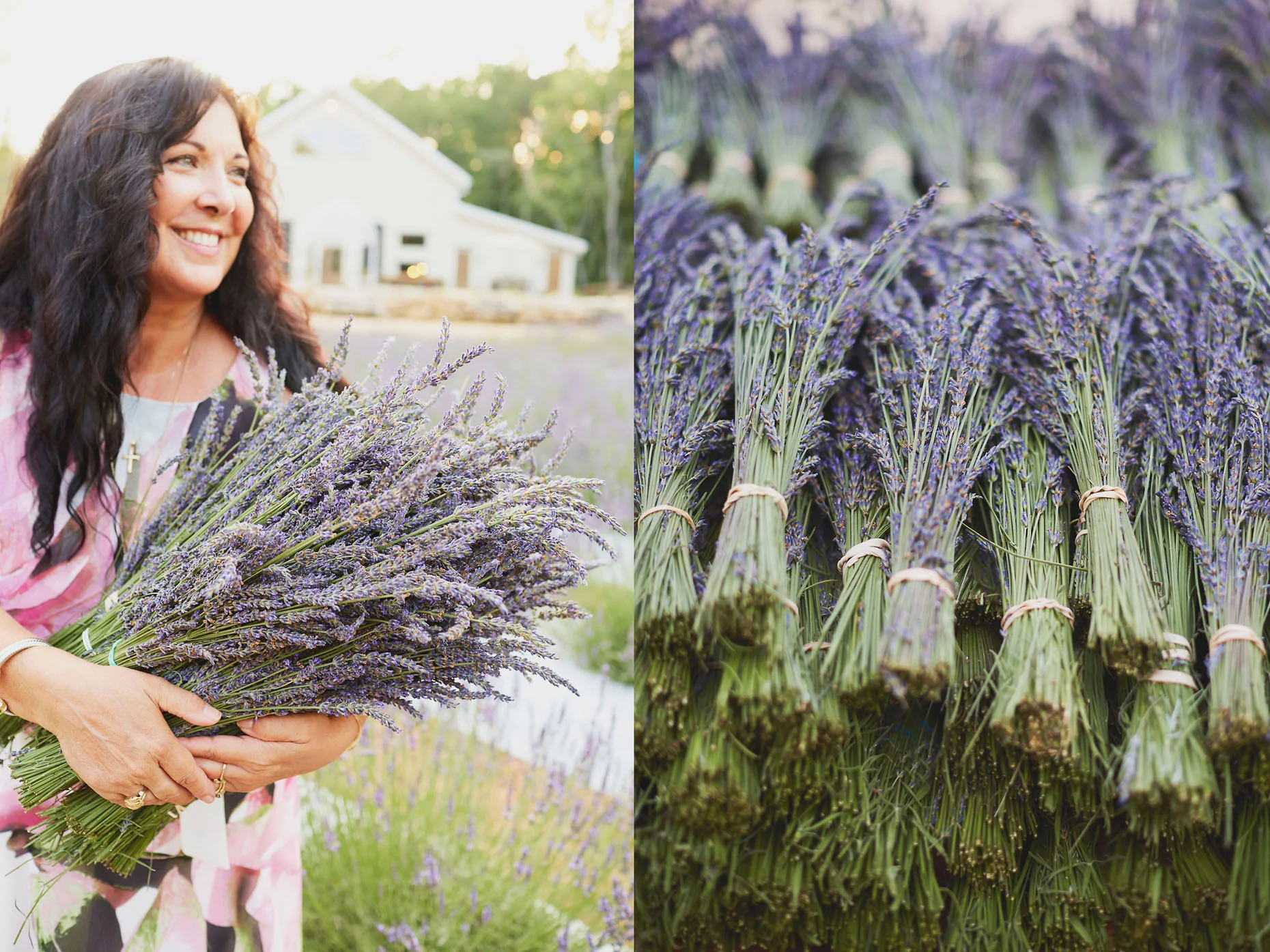 007_SVB_BLOG_LAVENDER_010.jpg