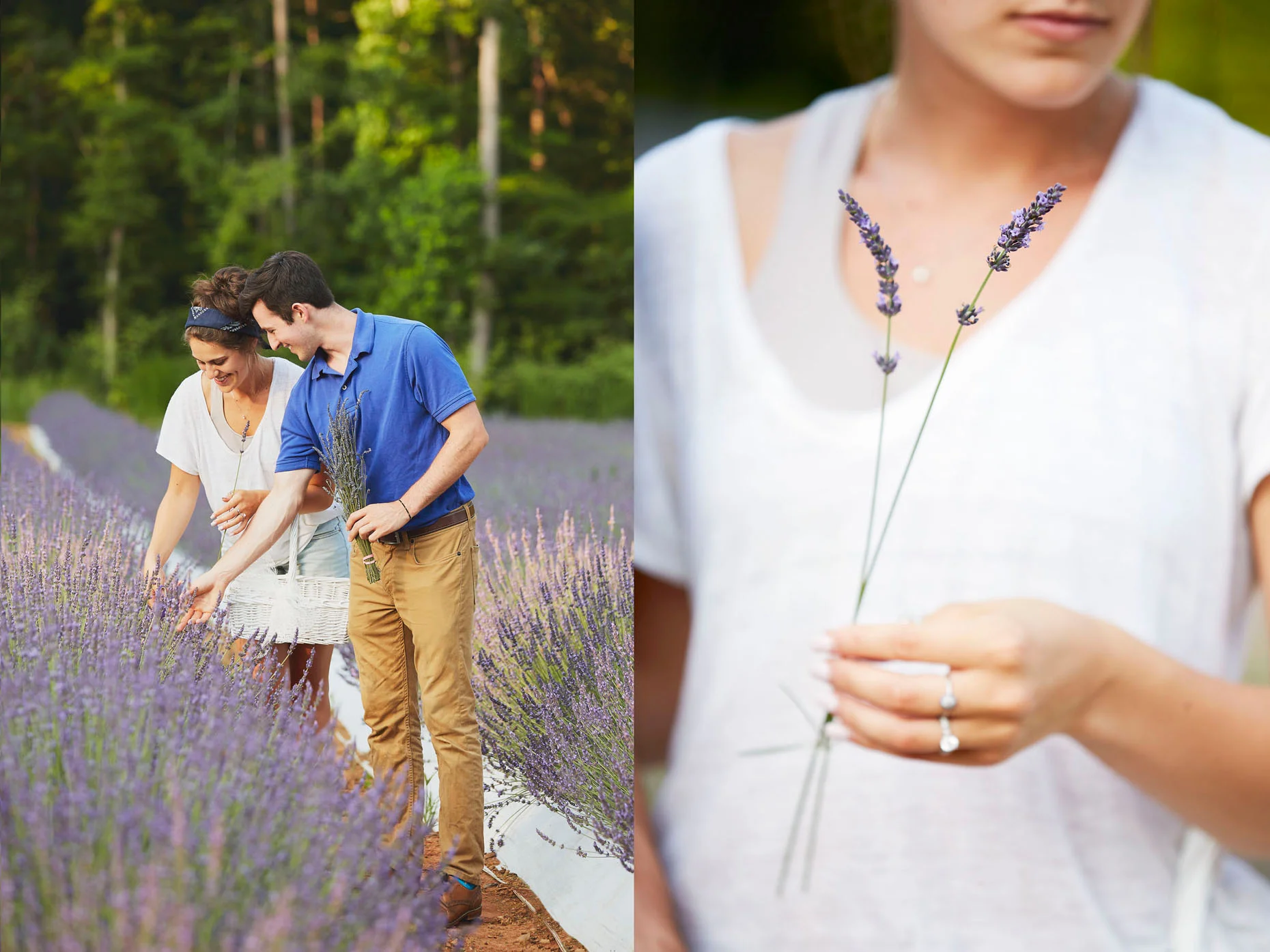 010_SVB_BLOG_LAVENDER-013.jpg