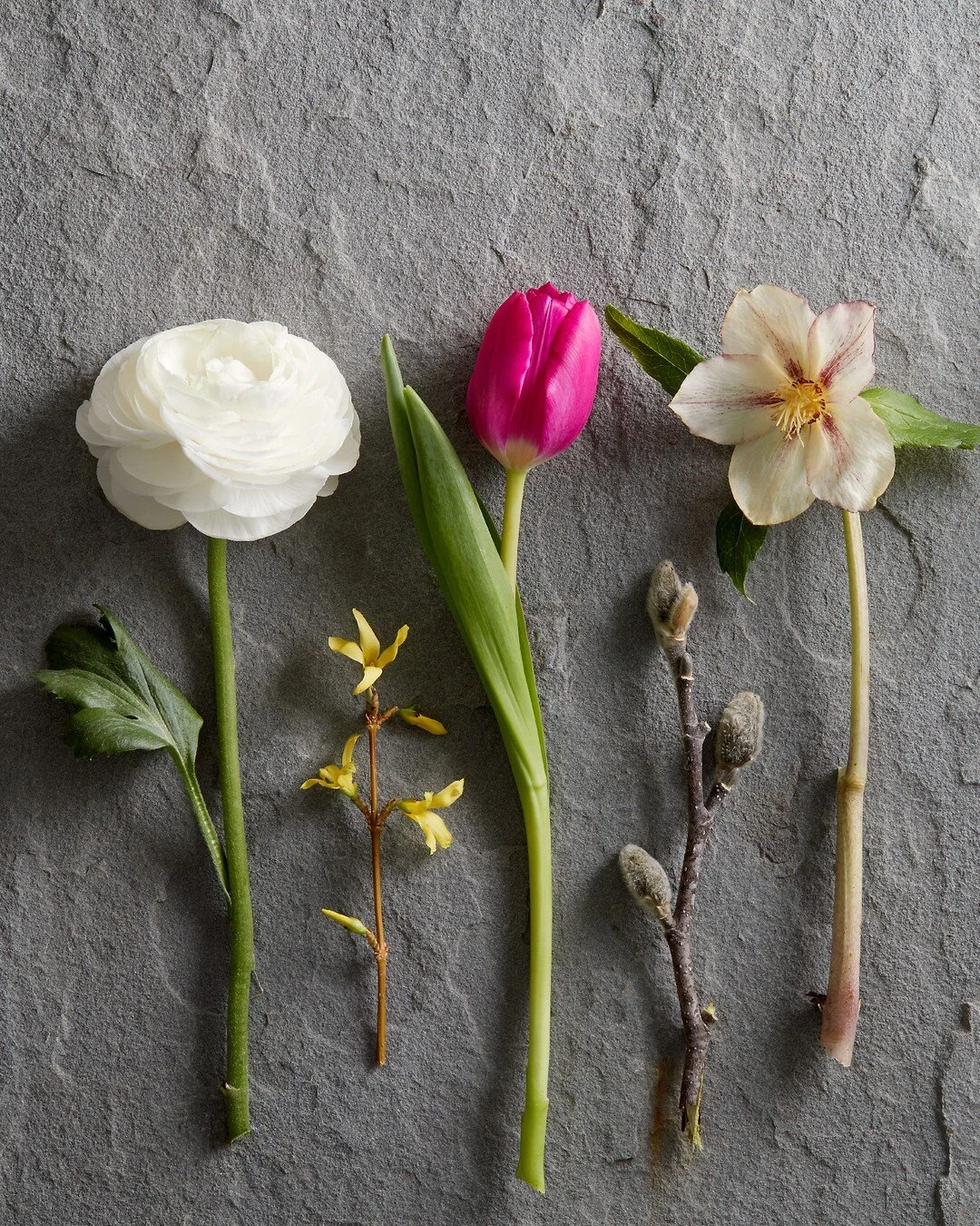 Texture 🌱 Color 🌷 Size ✨ As a photographer I care about the aesthetic design for each of my clients ⠀⠀⠀⠀⠀⠀⠀⠀⠀
.⠀⠀⠀⠀⠀⠀⠀⠀⠀
.⠀⠀⠀⠀⠀⠀⠀⠀⠀
#flowerseries #floralperfection #floralsplash #floralshots #florallover #floralstudio #floralstyles #amazingflowers 