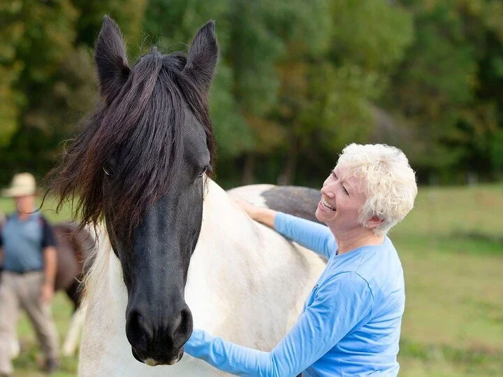 What a gorgeous horse!  I don't think I will ever get over the thrill that horses inspire in me when I spend time with them. I was lucky enough to shoot this wonderful story for @ourstatemag at @rollingridgeriding, a therapeutic riding  stable locate