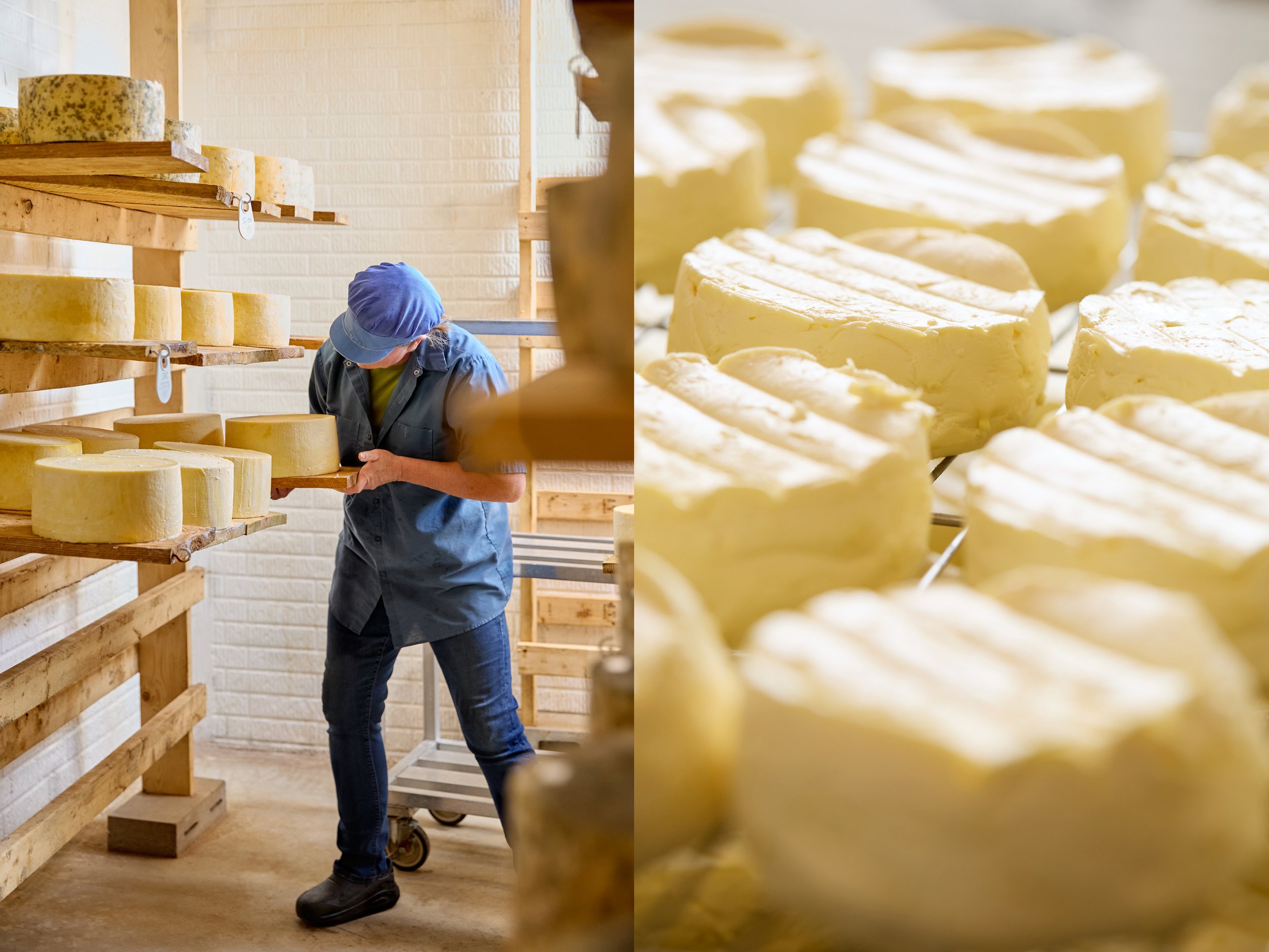Diptych : On the left is cheesemaker Jennifer Perkins putting wheels of cheese on a shelf to age. On the right soft yellow round cheese sitting on a rack. All cheese is from Looking Glass Creamery. Photos by Stacey Van Berkel.
