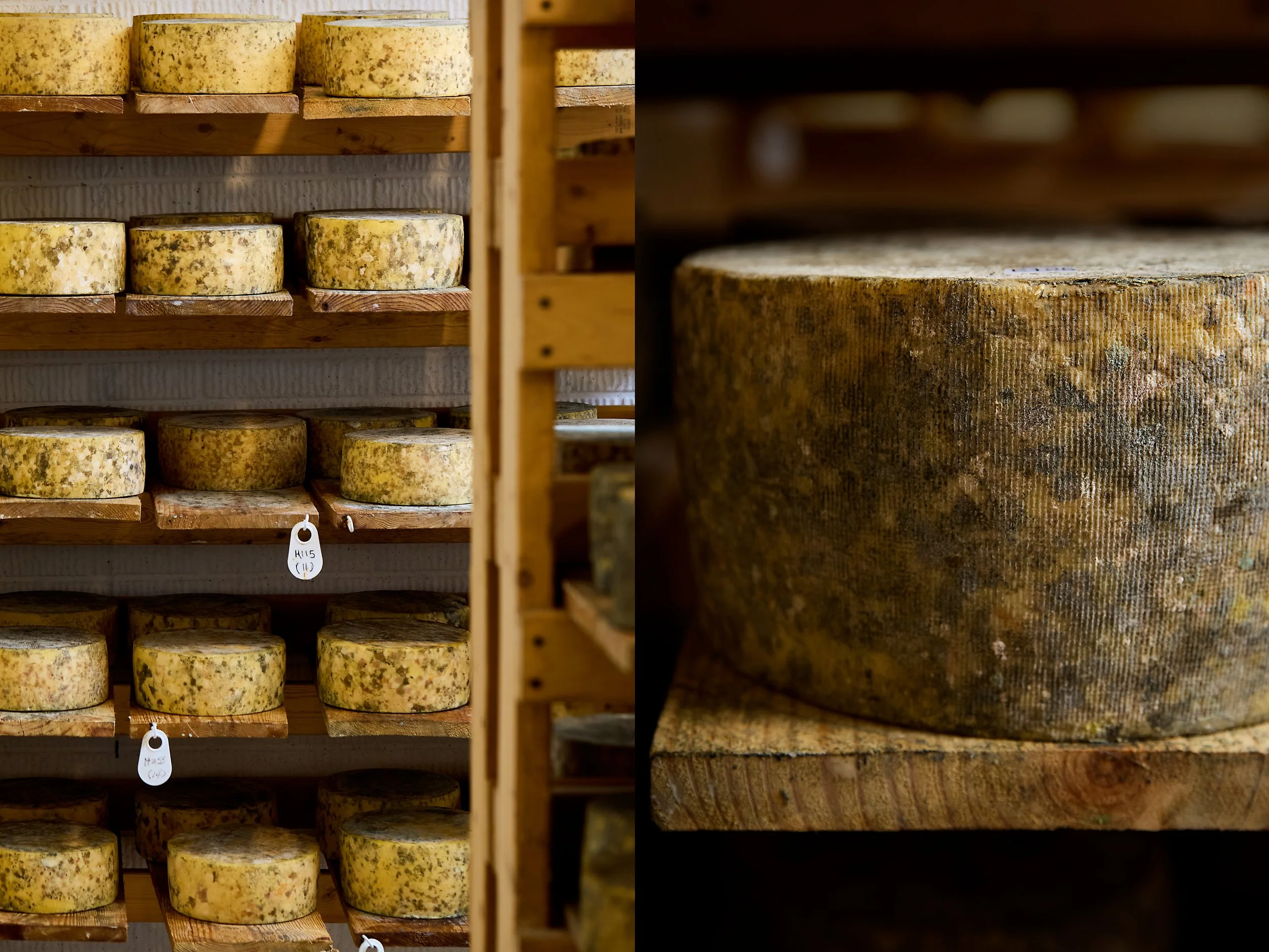 A diptych of two images of wheels of cheese. On the left, there are rows of wheels of cheese and on the right a close up of the surface of one wheel. Photos by Stacey Van Berkel.