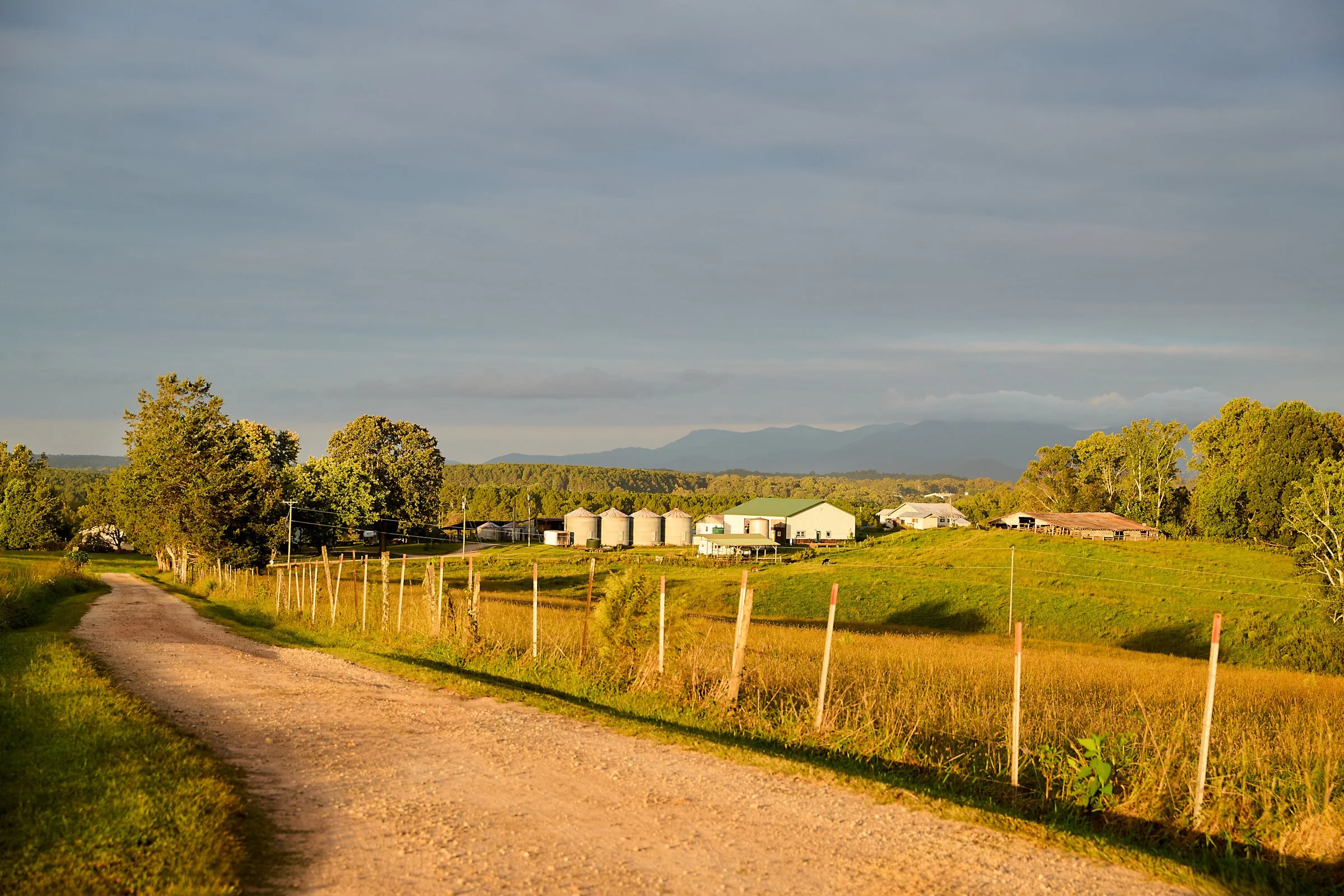 A panoramic view of the entry into Looking Glass Creamery. Intense light and colors make this image very saturated. Photo by Stacey Van Berkel.