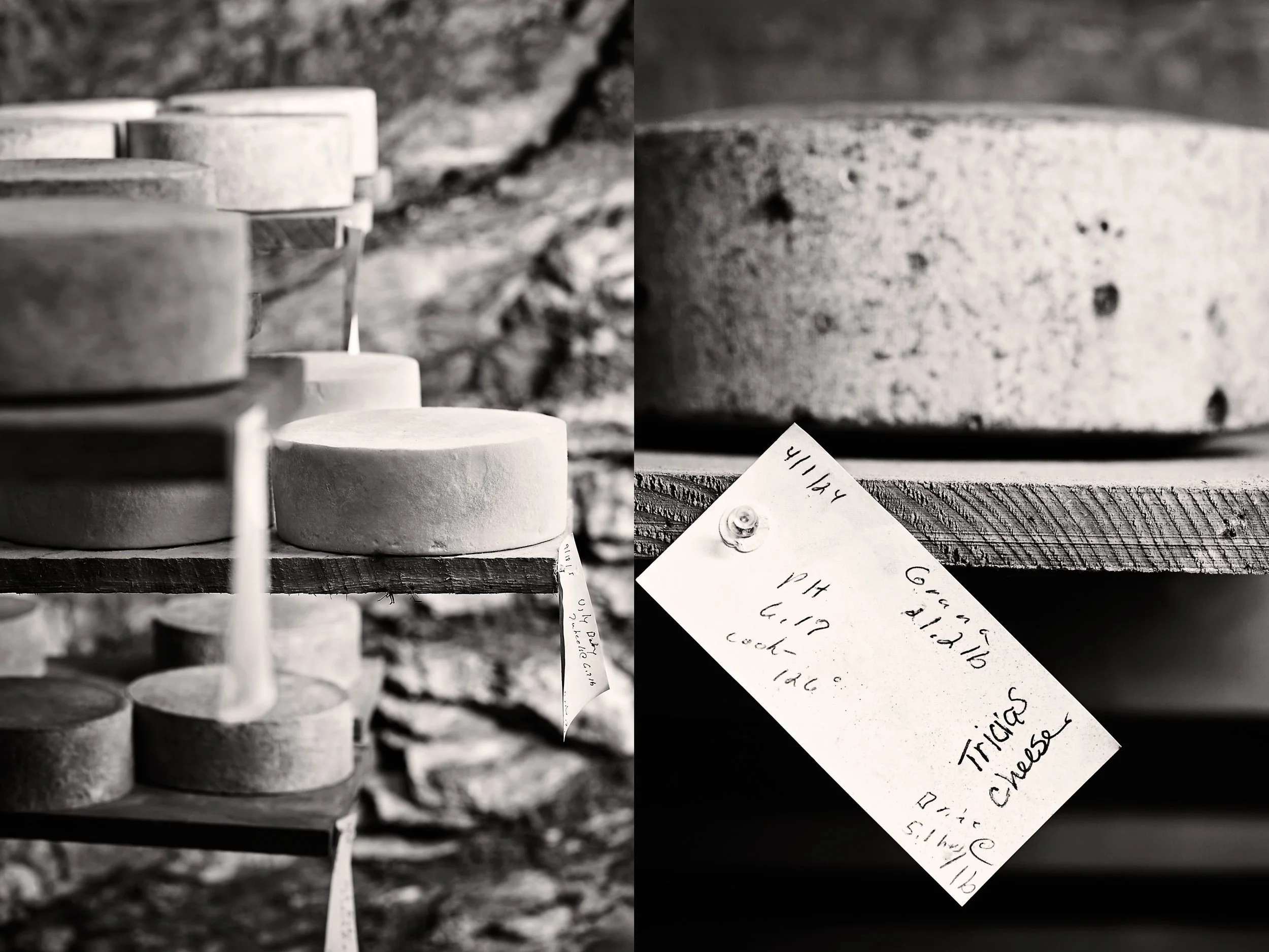 Wheels of cheese on wooden shelves in the only cheese cave in North Carolina. Blue Ridge Mountain Creamery makes aged raw milk cheeses. Photo by Stacey Van Berkel