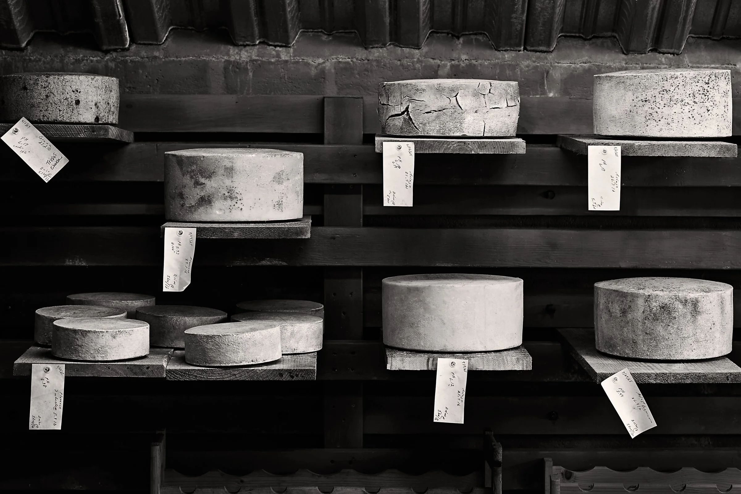 Wheels of cheese on wooden shelves in the only cheese cave in North Carolina. Blue Ridge Mountain Creamery makes aged raw milk cheeses. Photo by Stacey Van Berkel