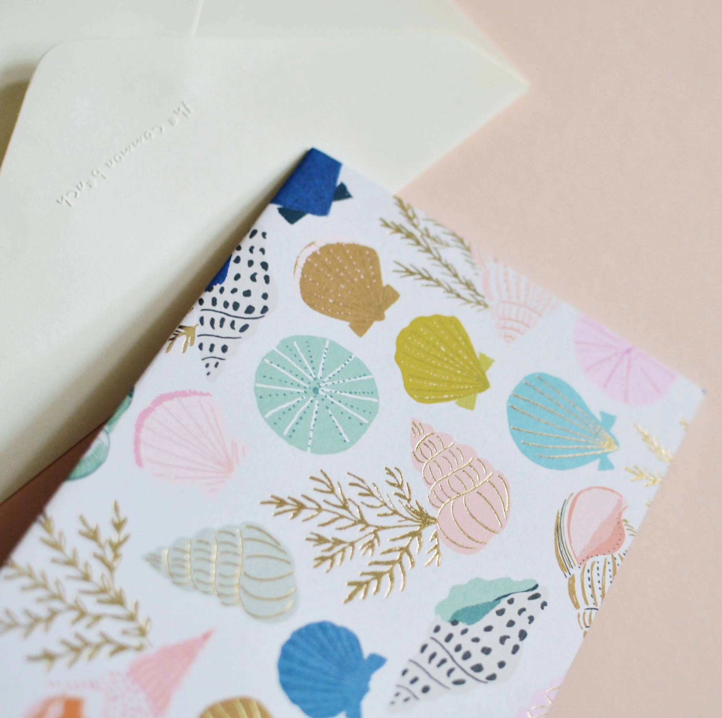 ABC7A795-A75D-484B-A143-FE51F07D6068